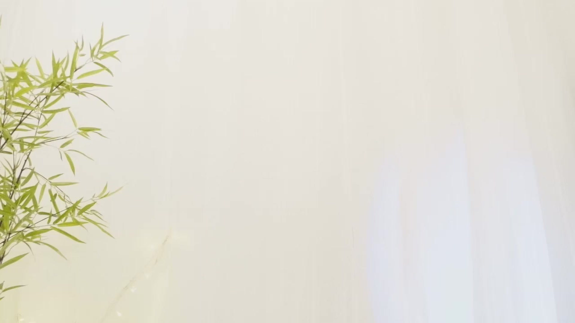 Gallery image thumbnail from Miss_ReinaT's myfreecams stream on, 05/14/2023, 17:04 image 10 of 20