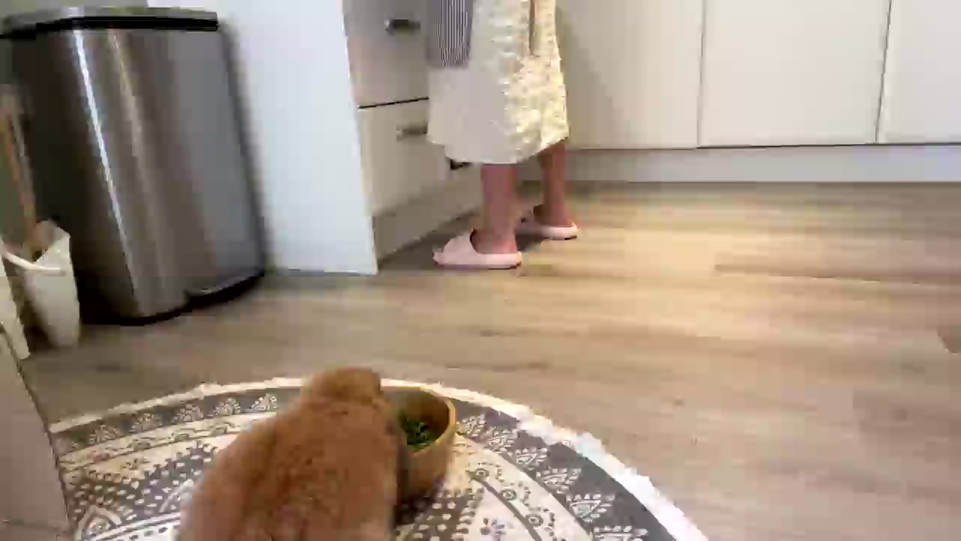 Gallery image thumbnail from Miss_ReinaT's myfreecams stream on, 05/30/2025, 19:06 image 19 of 20