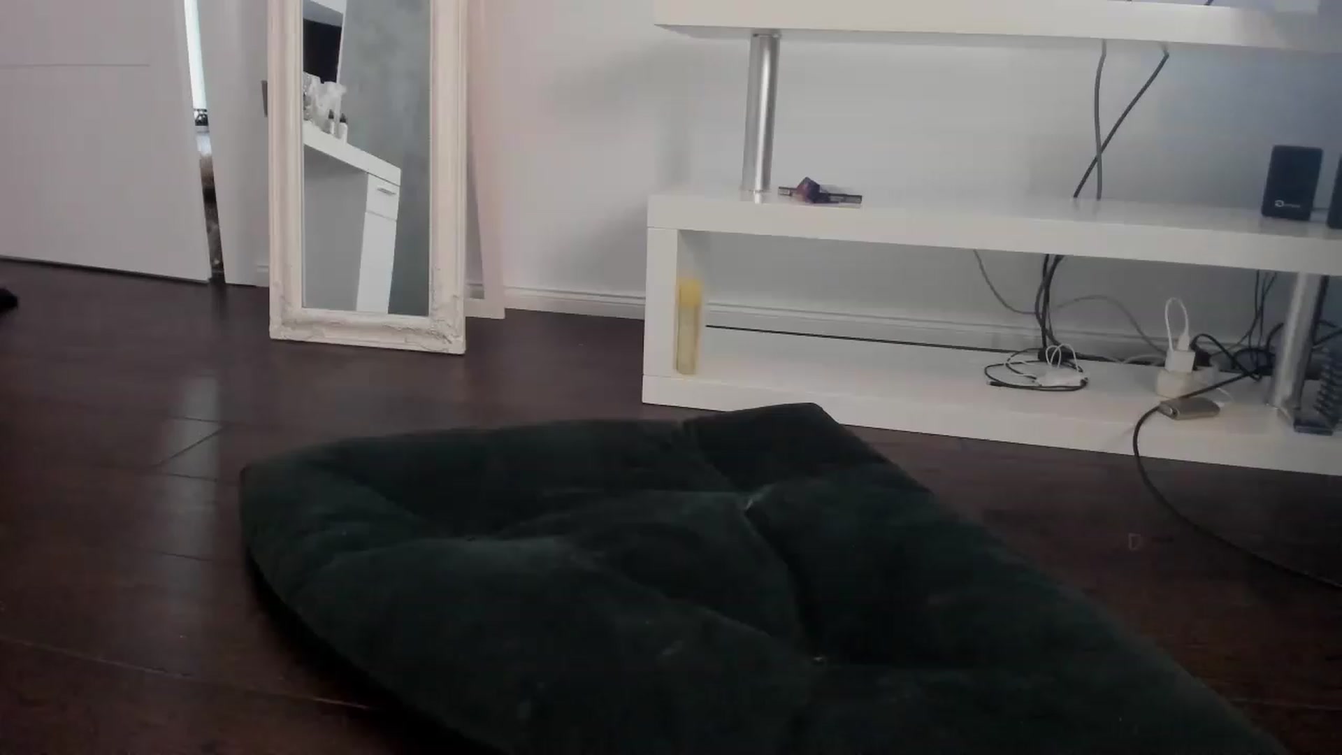 Gallery image thumbnail from Miss_WorstAss's myfreecams stream on, 02/27/2023, 11:22 image 1 of 20