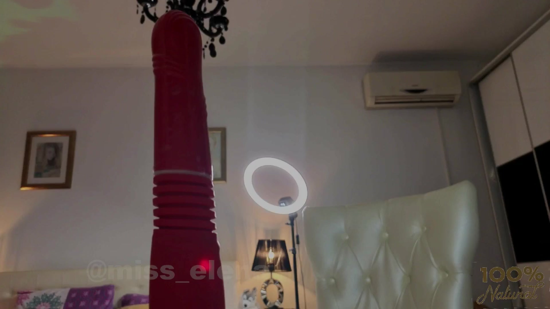 Gallery image thumbnail from Miss__Elena's myfreecams stream on, 11/27/2025, 21:23 image 14 of 20