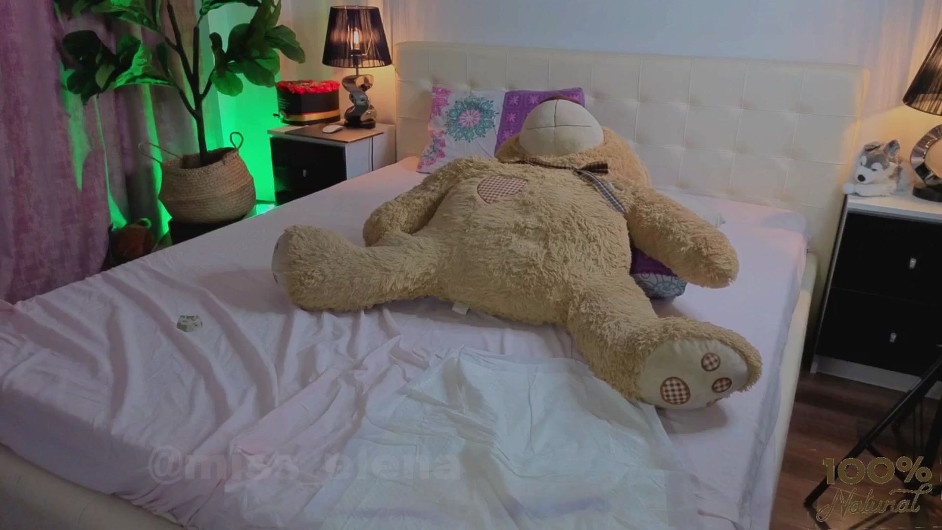 Gallery image thumbnail from Miss__Elena's myfreecams stream on, 12/07/2025, 11:33 image 1 of 20