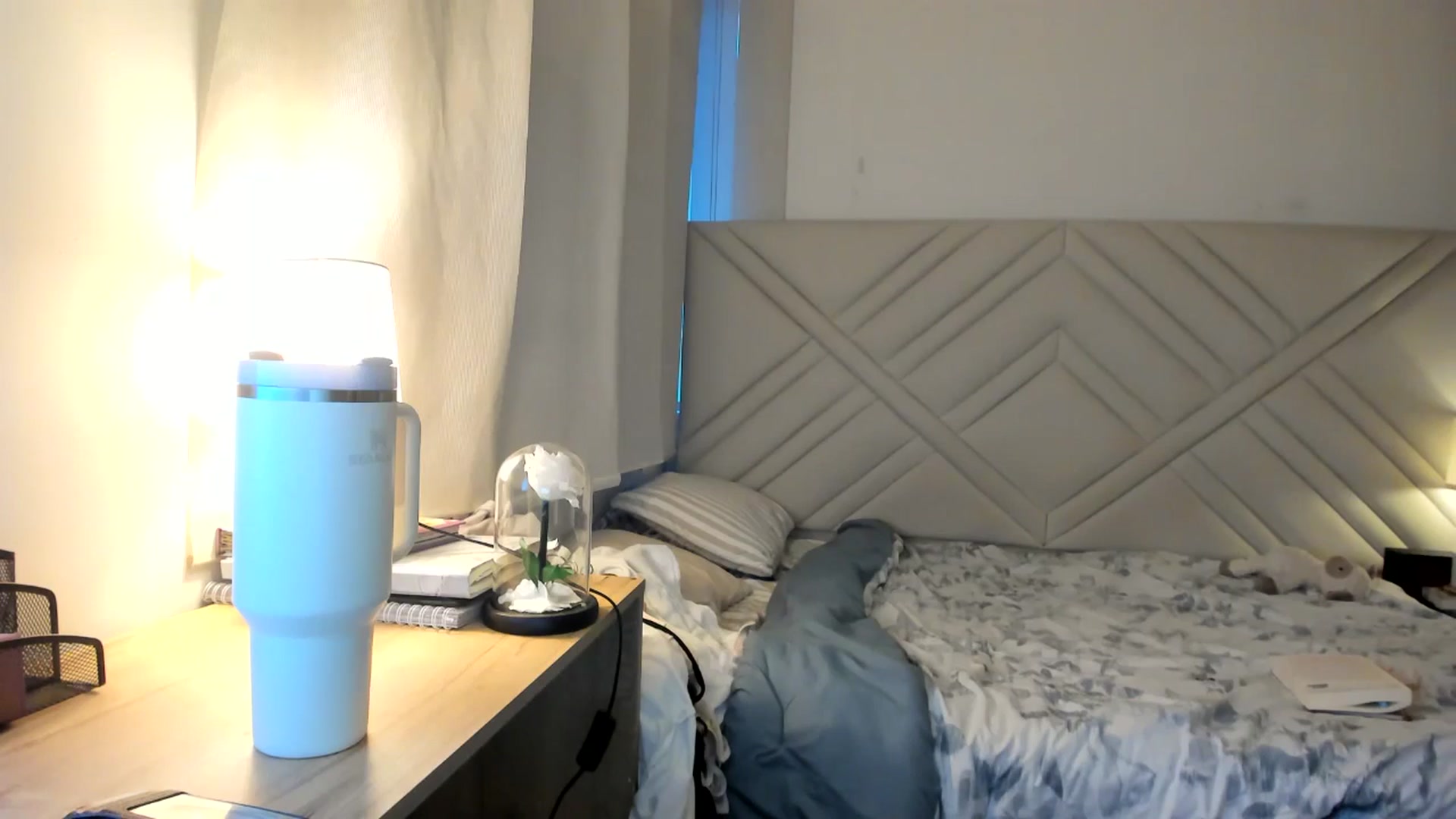 Gallery image thumbnail from Missabyy's myfreecams stream on, 08/20/2025, 23:12 image 10 of 20