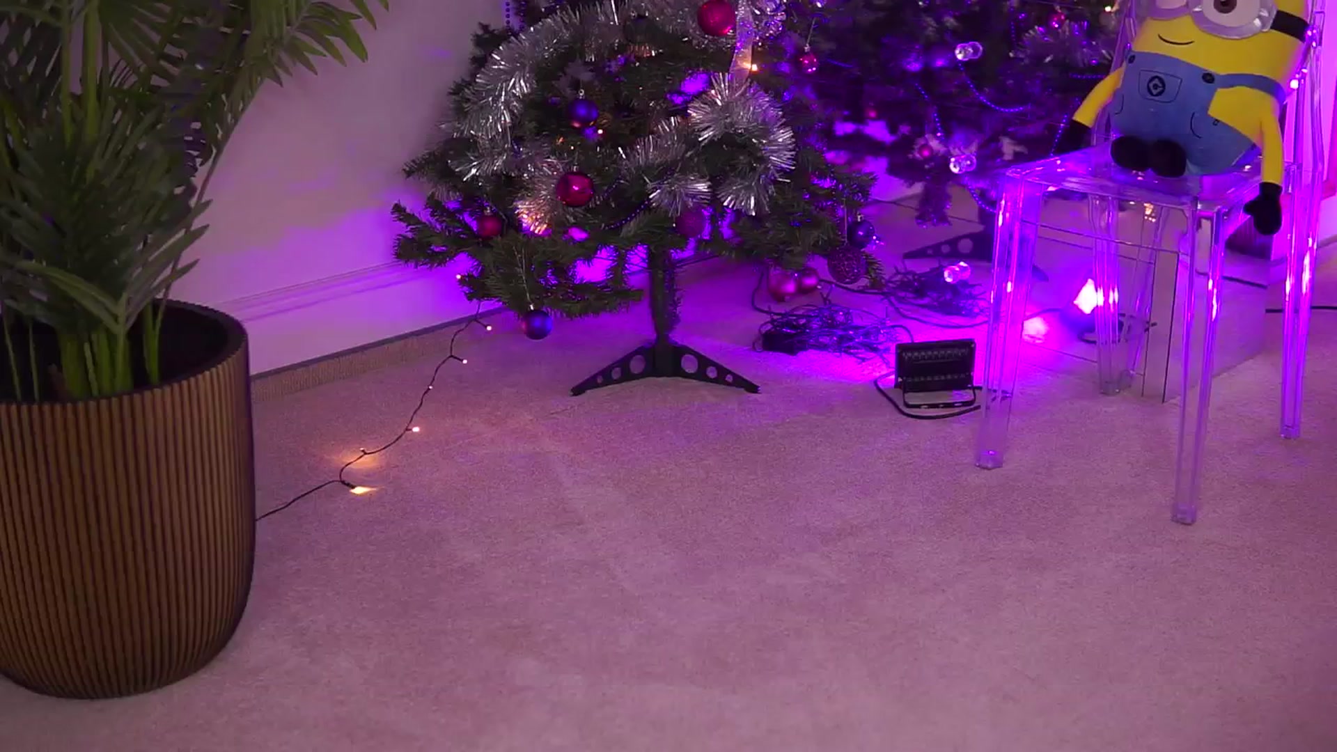 Gallery image thumbnail from Missmo0n1's myfreecams stream on, 12/31/2024, 10:22 image 16 of 20