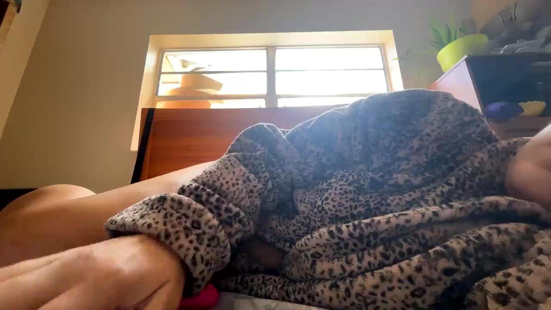 Gallery image thumbnail from MisssAudrey's myfreecams stream on, 08/28/2024, 15:19 image 15 of 20