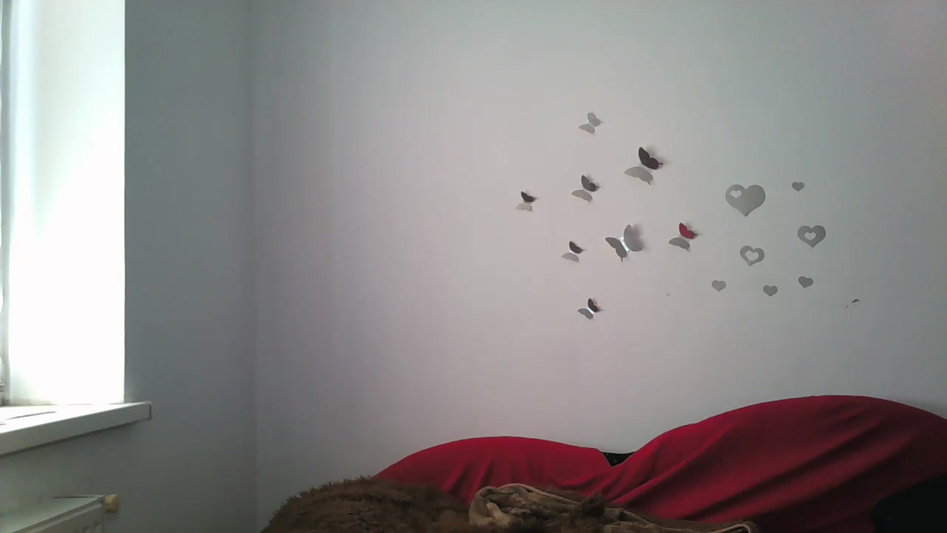 Gallery image thumbnail from MisssLove_is's myfreecams stream on, 05/16/2024, 14:02 image 20 of 20