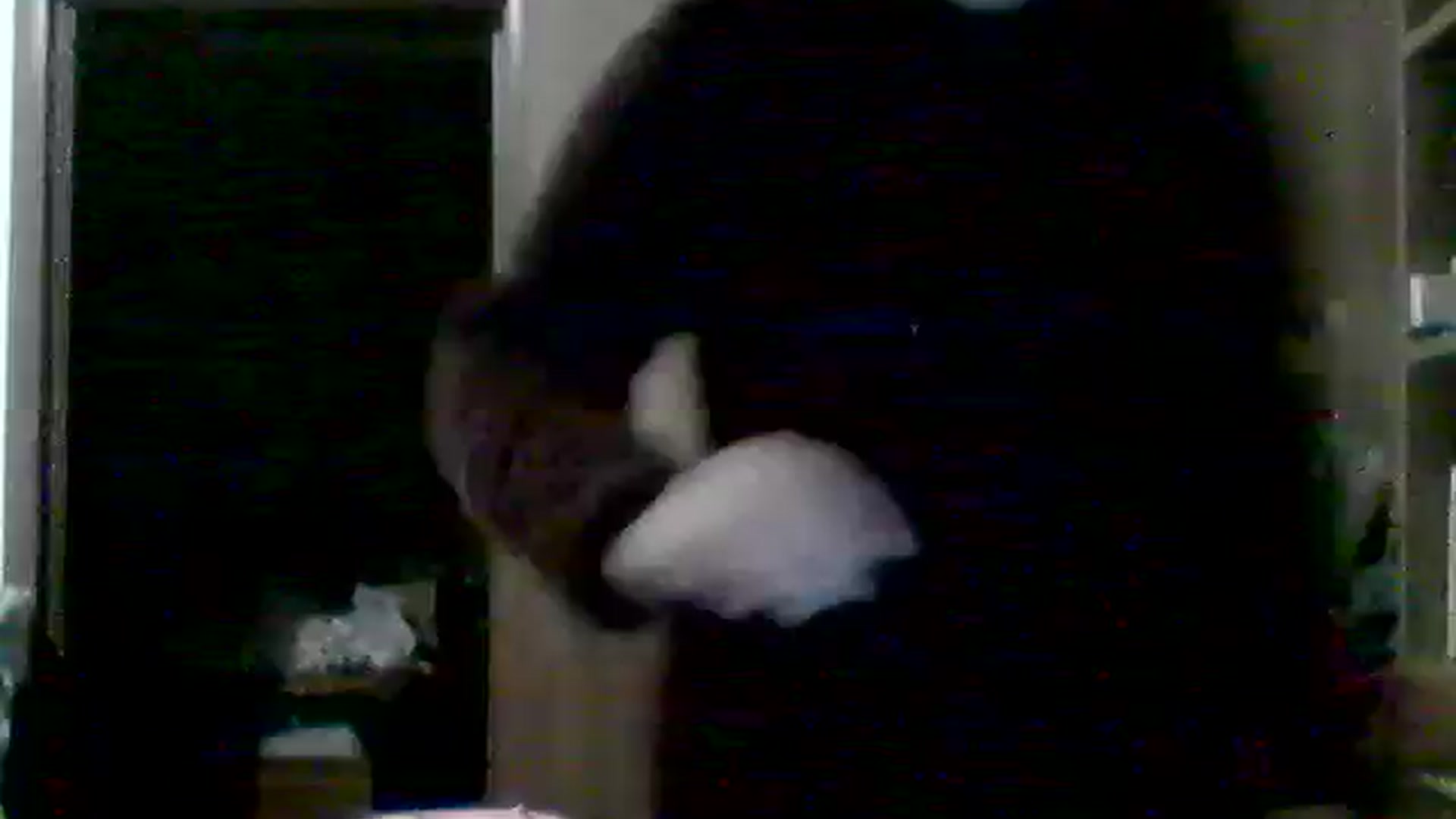 Gallery image thumbnail from MisssLove_is's myfreecams stream on, 02/15/2026, 18:27 image 1 of 20