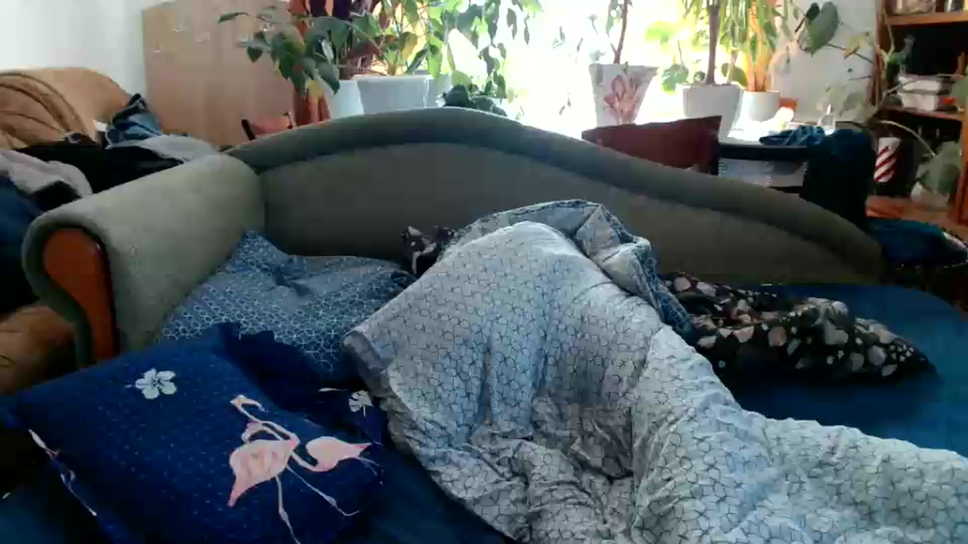 Gallery image thumbnail from MisssLove_is's myfreecams stream on, 06/30/2026, 14:15 image 1 of 20