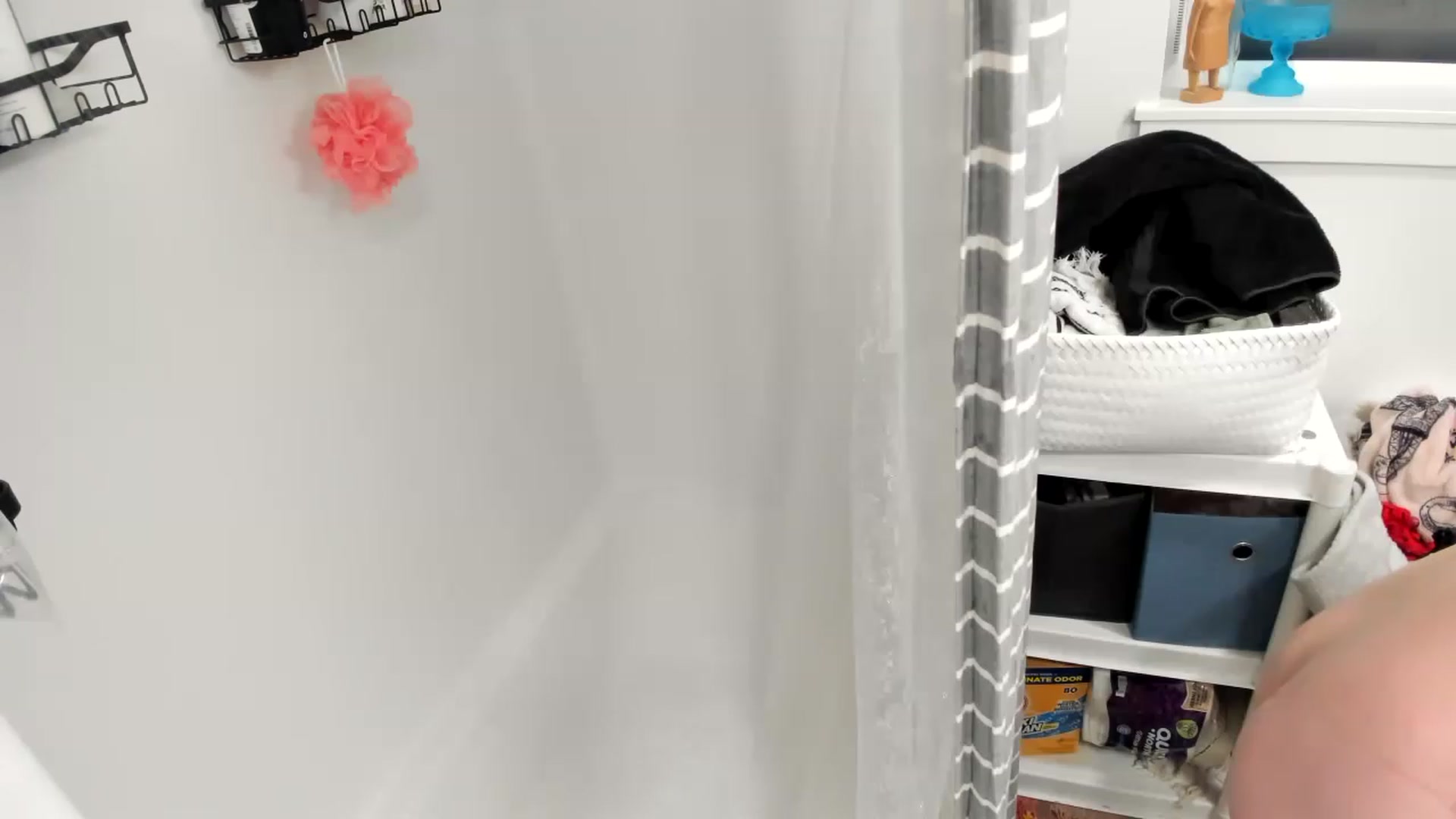 Gallery image thumbnail from MisssMolly420's myfreecams stream on, 01/19/2023, 16:26 image 3 of 20