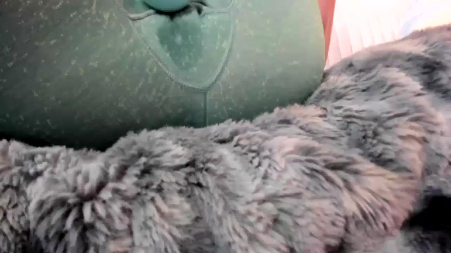 Gallery image thumbnail from MisssMolly420's myfreecams stream on, 01/21/2023, 20:48 image 14 of 20