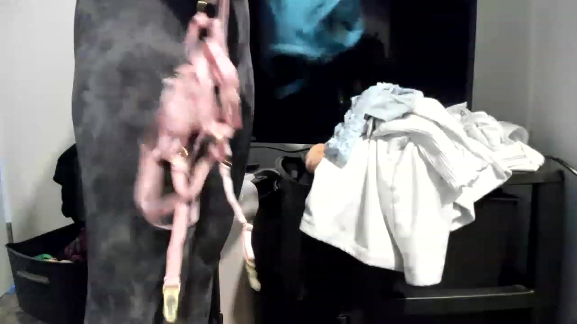Gallery image thumbnail from MisssMolly420's myfreecams stream on, 01/22/2023, 19:30 image 10 of 20