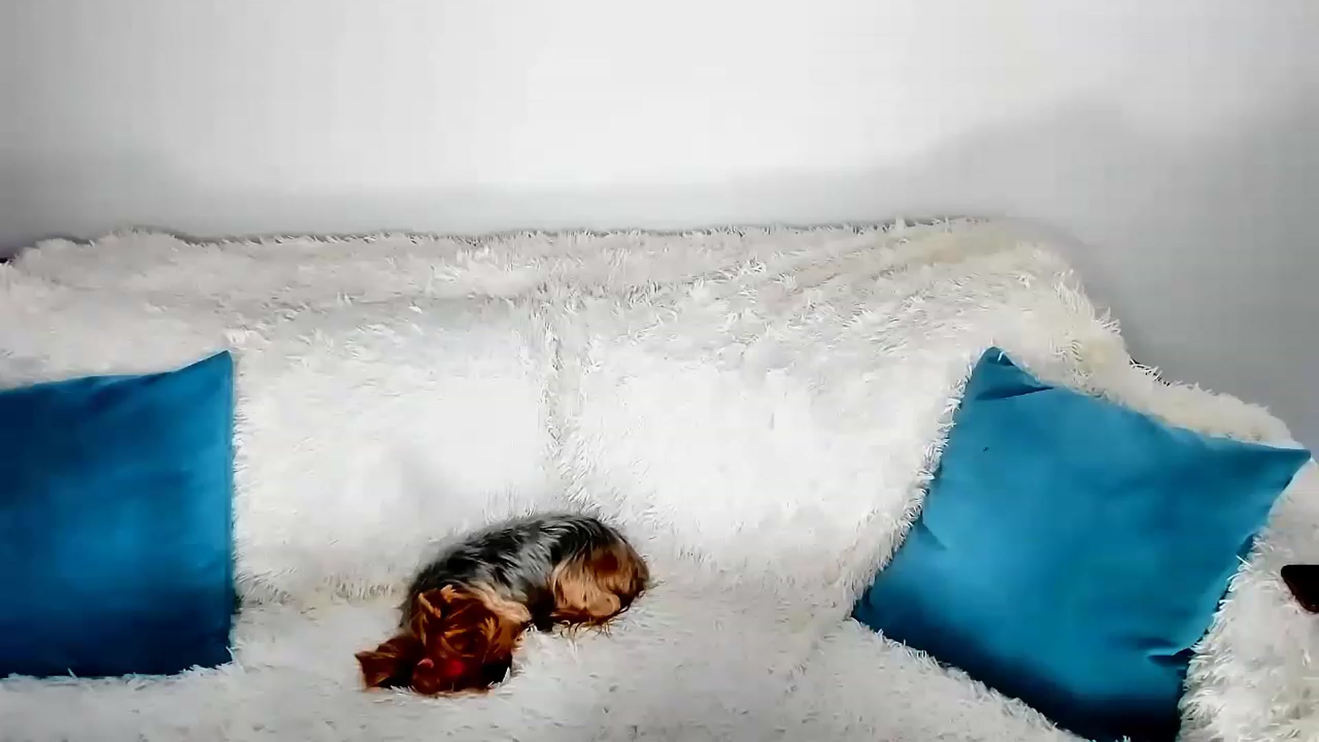 Gallery image thumbnail from Misssophiex's myfreecams stream on, 05/14/2023, 21:38 image 1 of 20