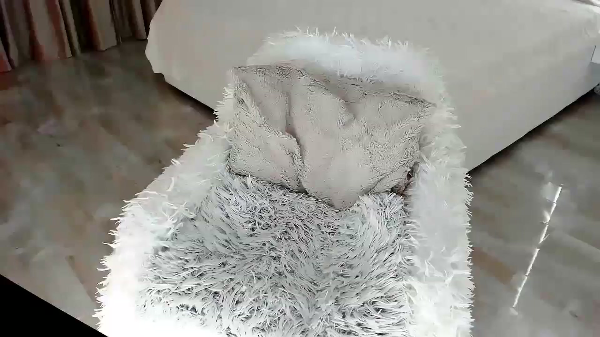 Gallery image thumbnail from Misssophiex's myfreecams stream on, 11/21/2023, 23:48 image 18 of 20