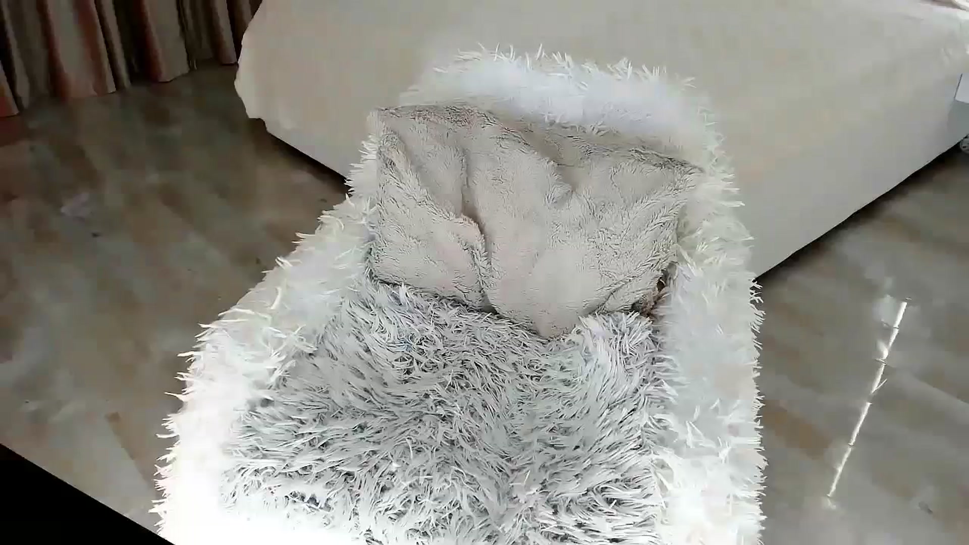 Gallery image thumbnail from Misssophiex's myfreecams stream on, 11/21/2023, 23:48 image 17 of 20