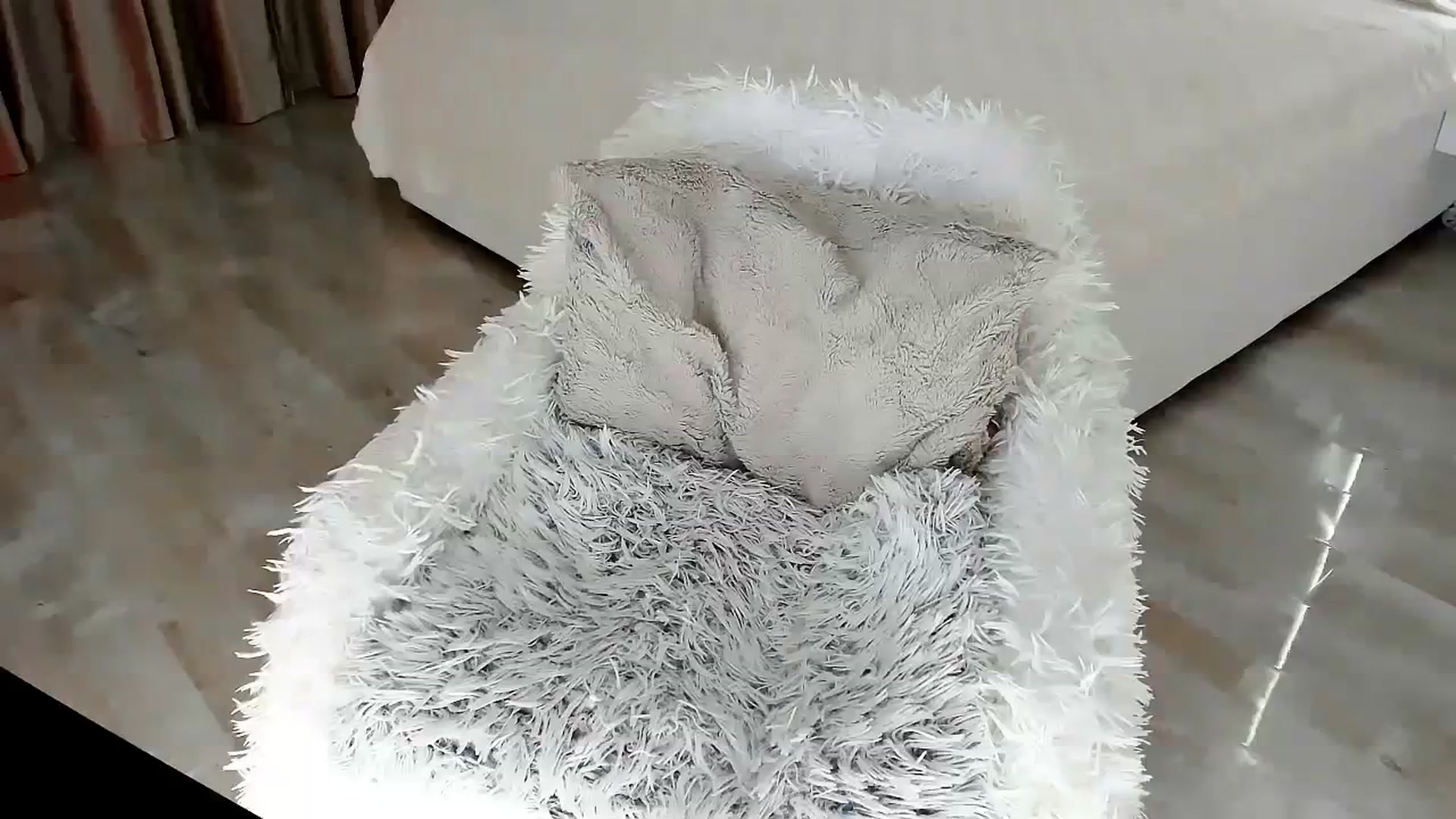 Gallery image thumbnail from Misssophiex's myfreecams stream on, 11/21/2023, 23:48 image 19 of 20