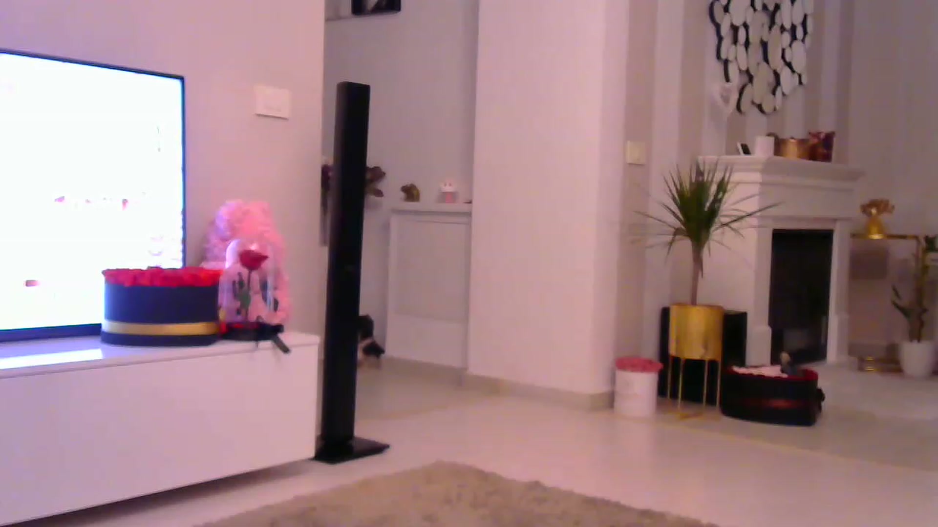 Gallery image thumbnail from Missy_alena's myfreecams stream on, 11/25/2022, 02:40 image 17 of 20