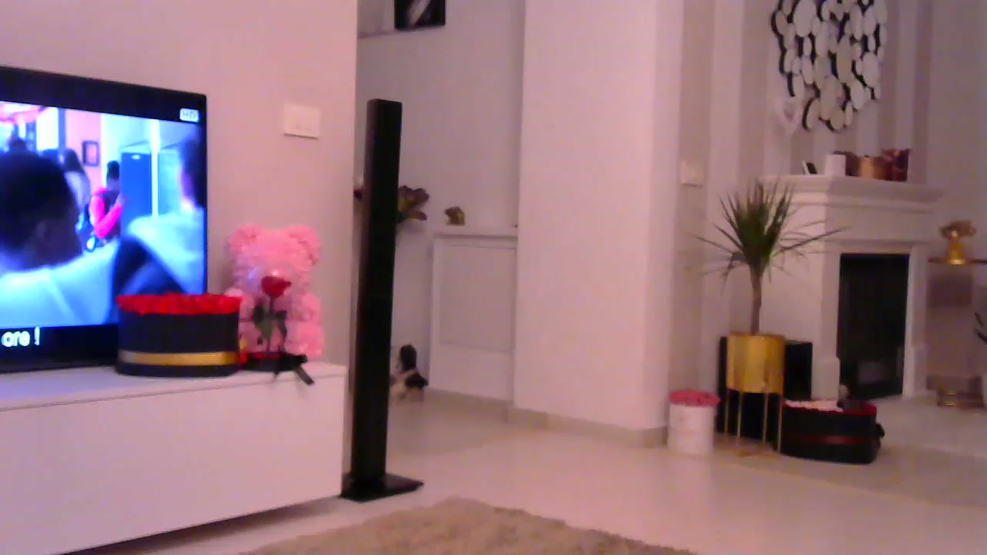 Gallery image thumbnail from Missy_alena's myfreecams stream on, 11/27/2022, 23:24 image 19 of 20