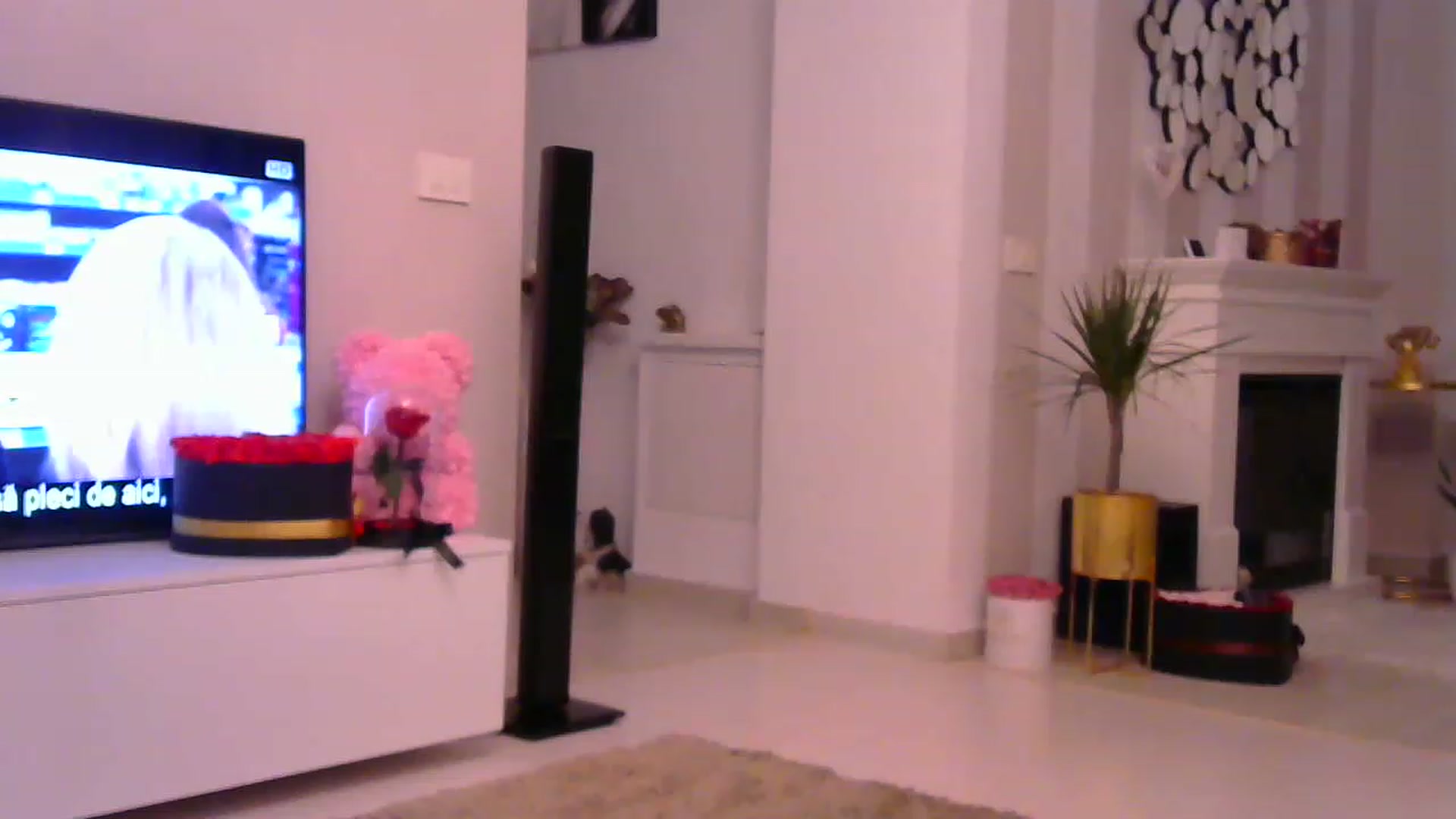Gallery image thumbnail from Missy_alena's myfreecams stream on, 11/27/2022, 23:24 image 18 of 20