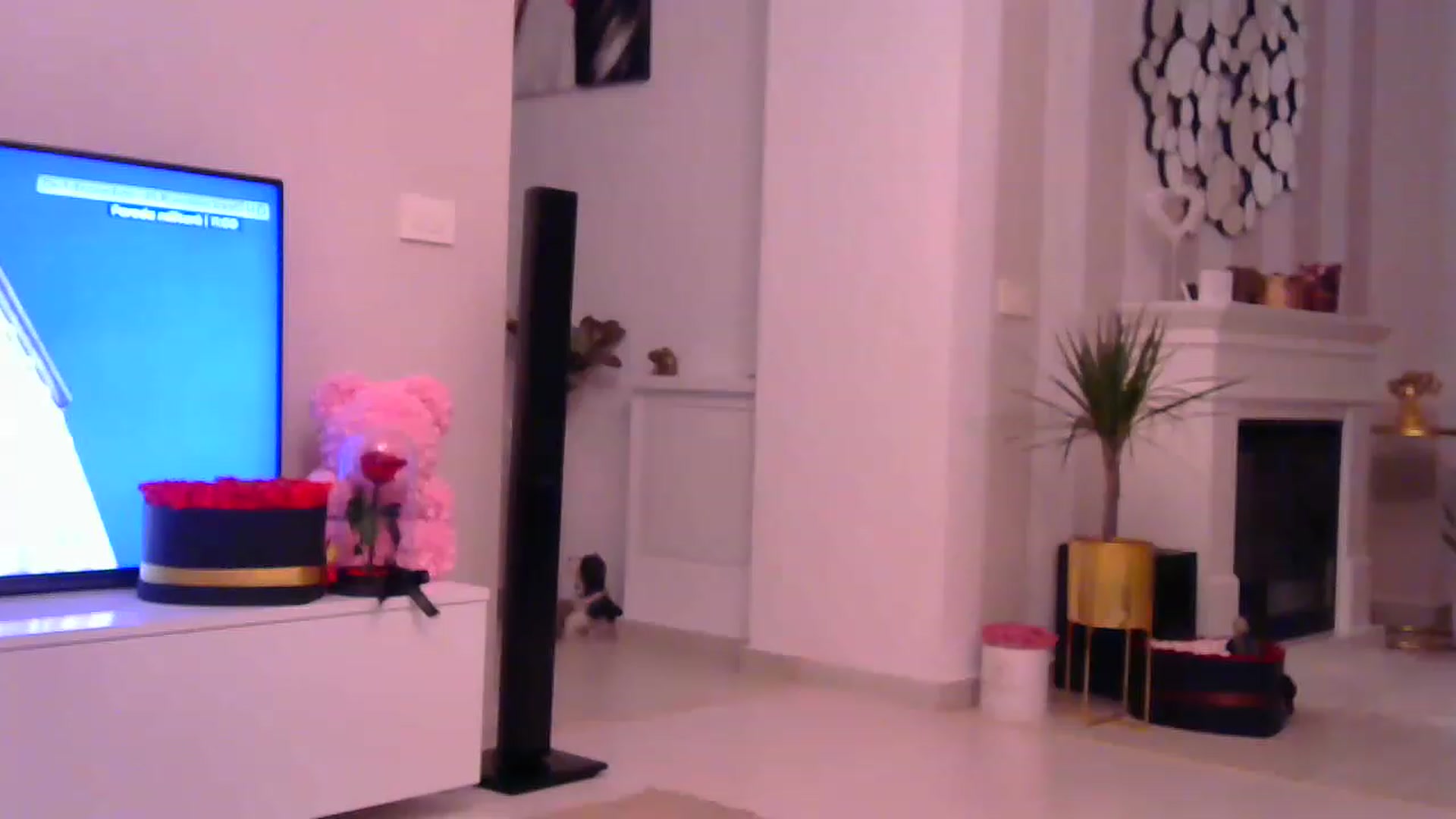 Gallery image thumbnail from Missy_alena's myfreecams stream on, 12/01/2022, 02:02 image 14 of 20
