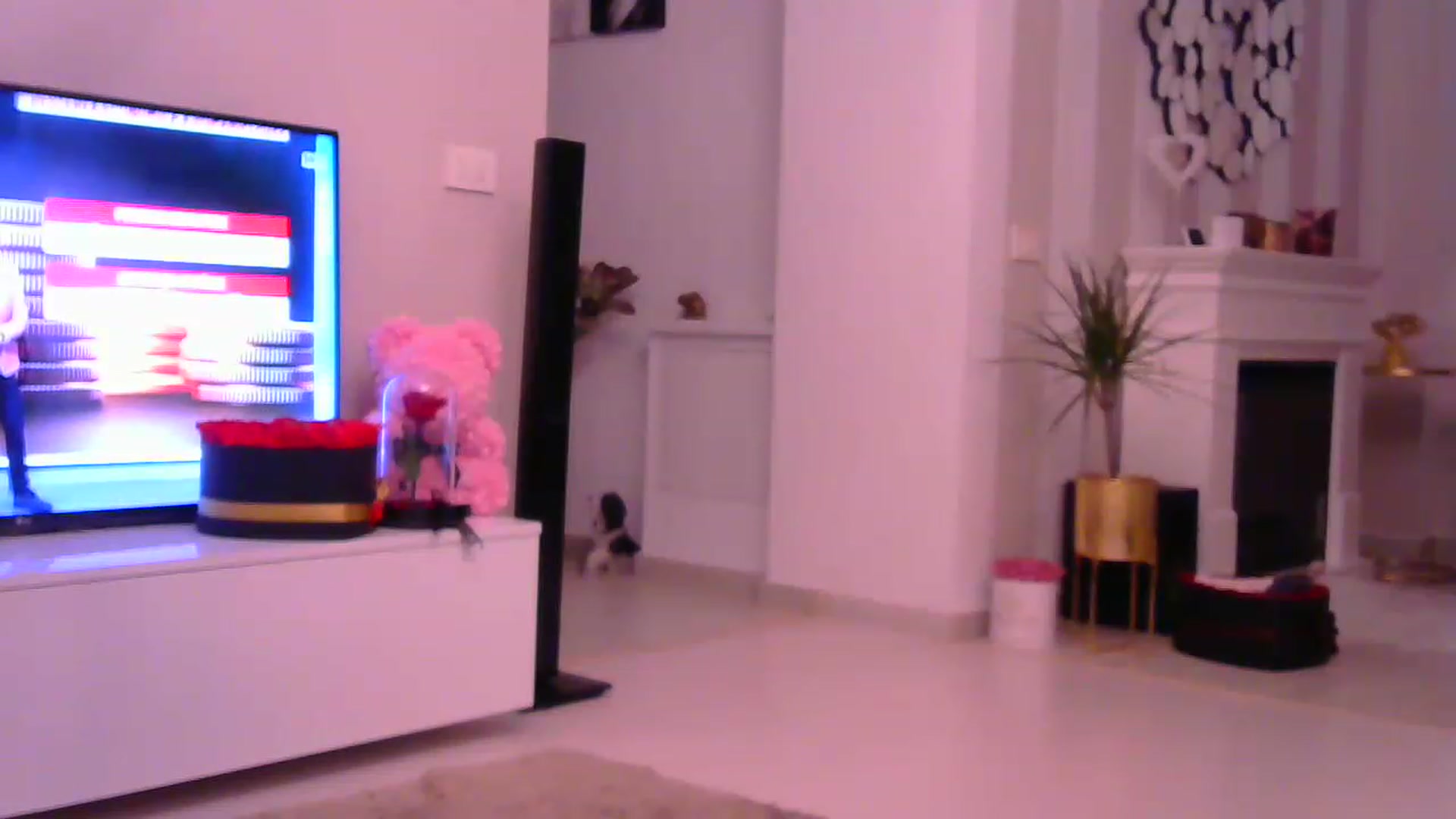 Gallery image thumbnail from Missy_alena's myfreecams stream on, 01/10/2023, 23:18 image 10 of 20