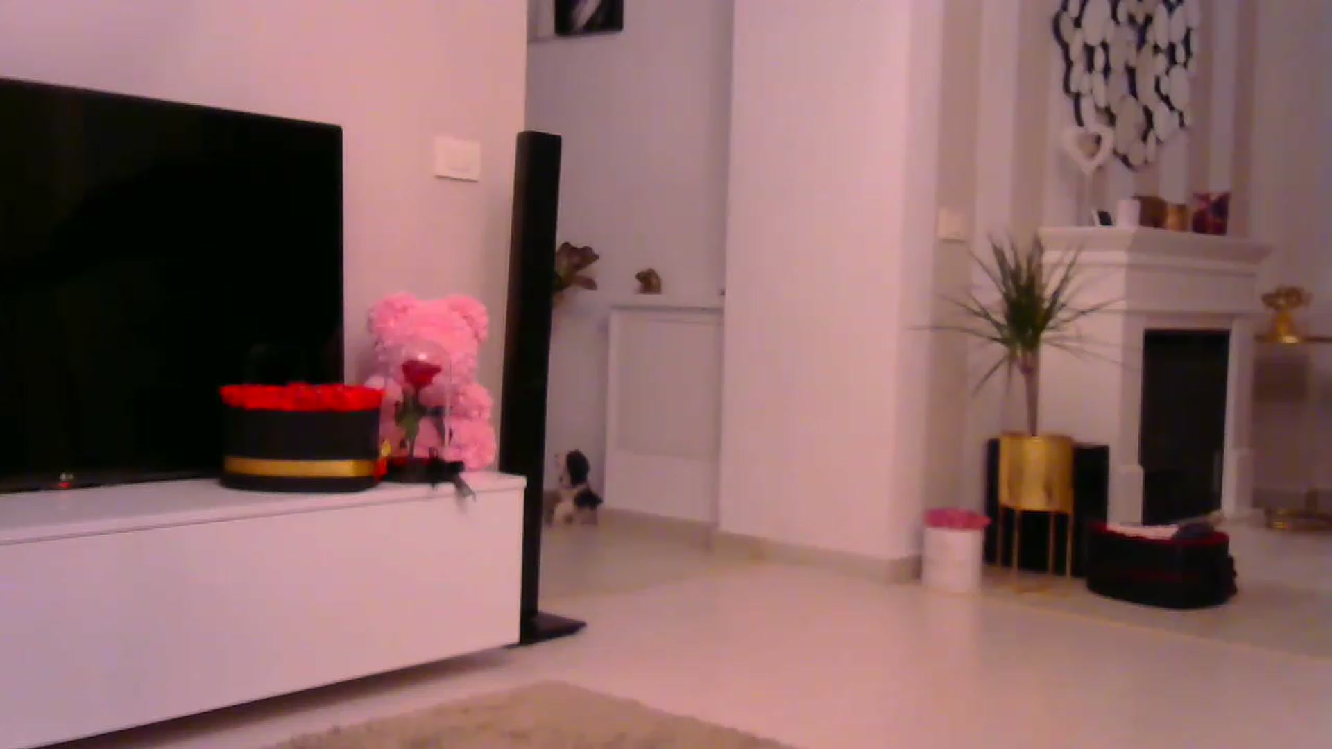 Gallery image thumbnail from Missy_alena's myfreecams stream on, 01/12/2023, 02:08 image 18 of 20
