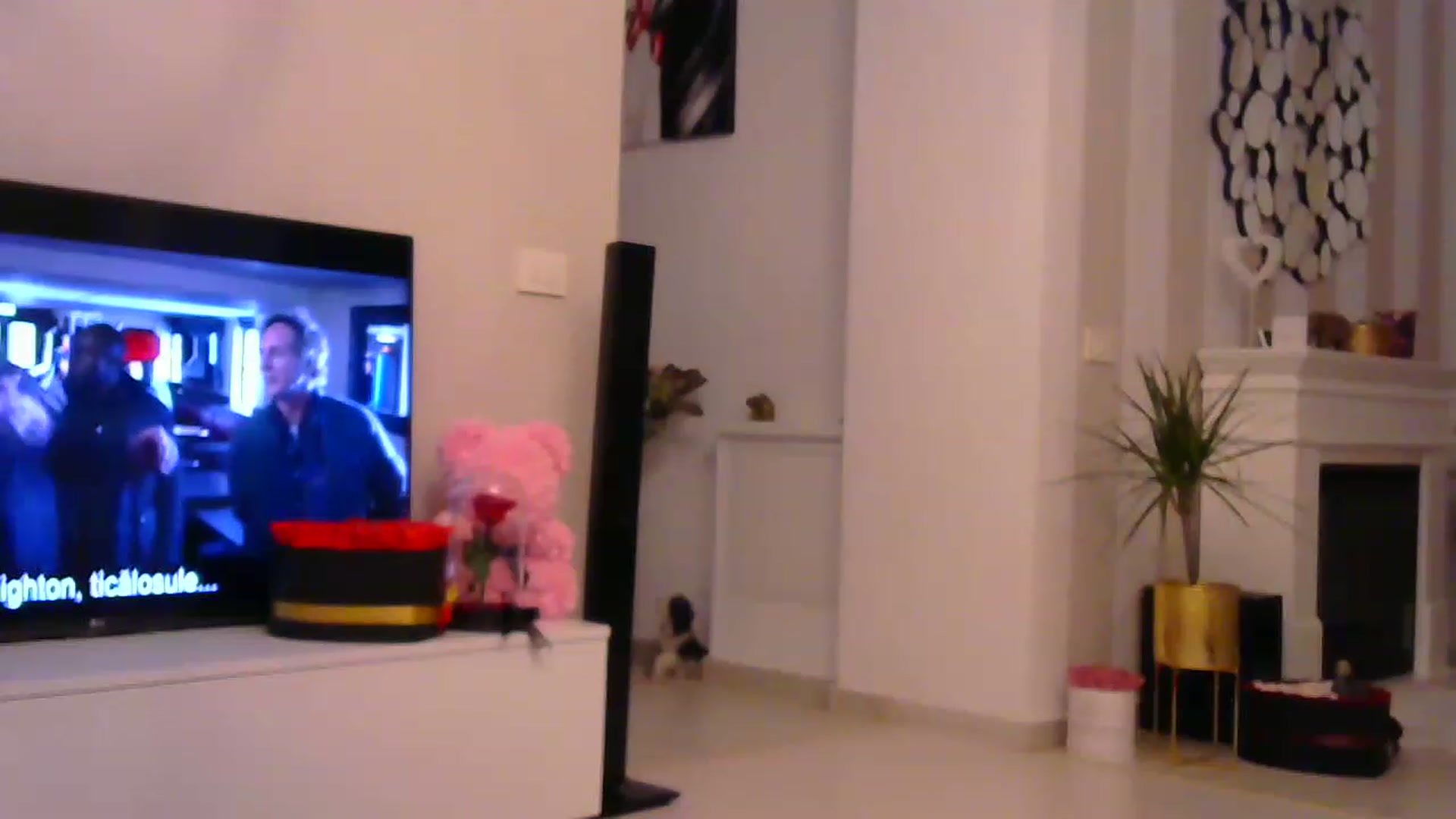 Gallery image thumbnail from Missy_alena's myfreecams stream on, 01/18/2023, 22:33 image 20 of 20
