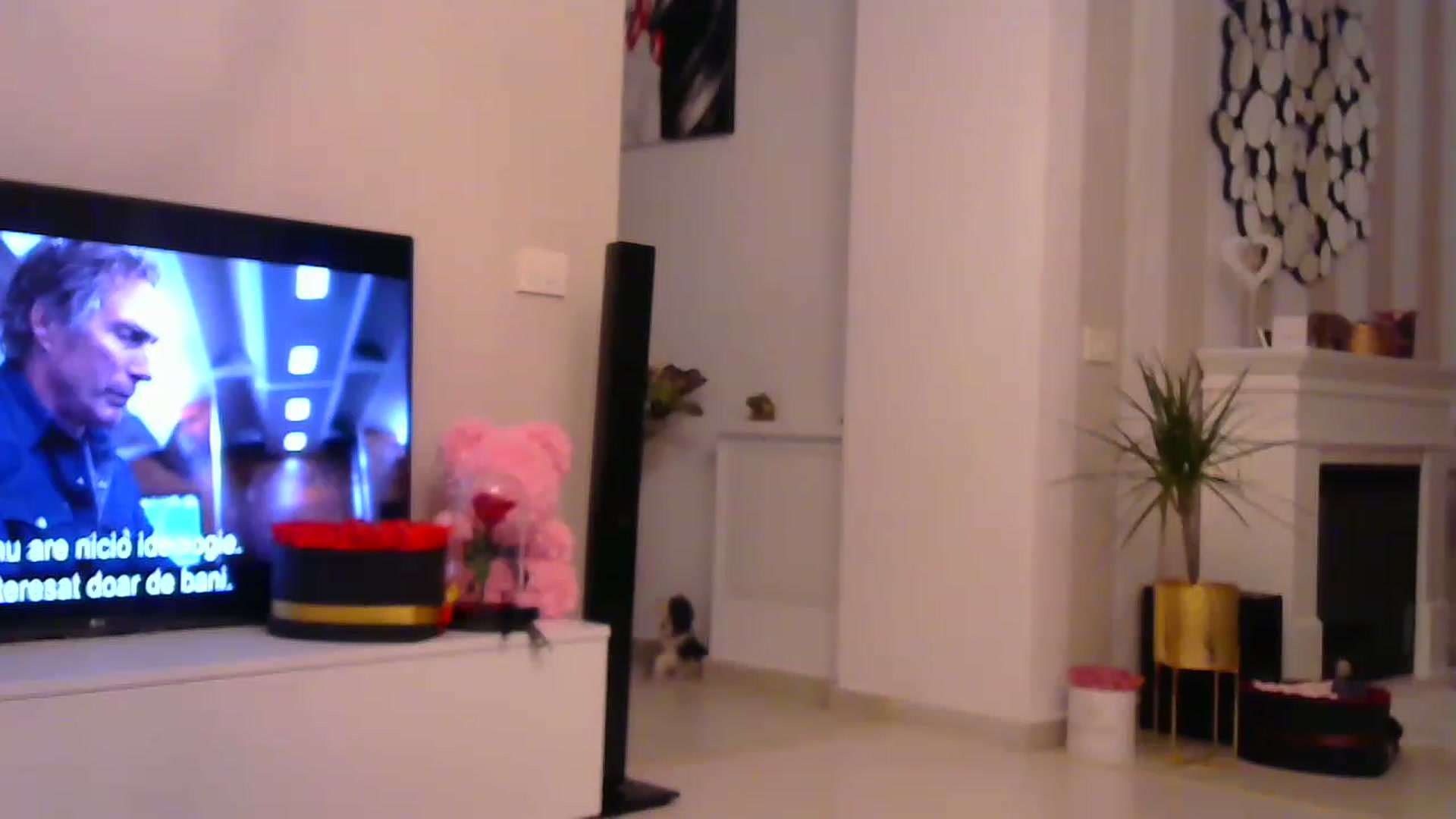 Gallery image thumbnail from Missy_alena's myfreecams stream on, 01/18/2023, 22:33 image 19 of 20