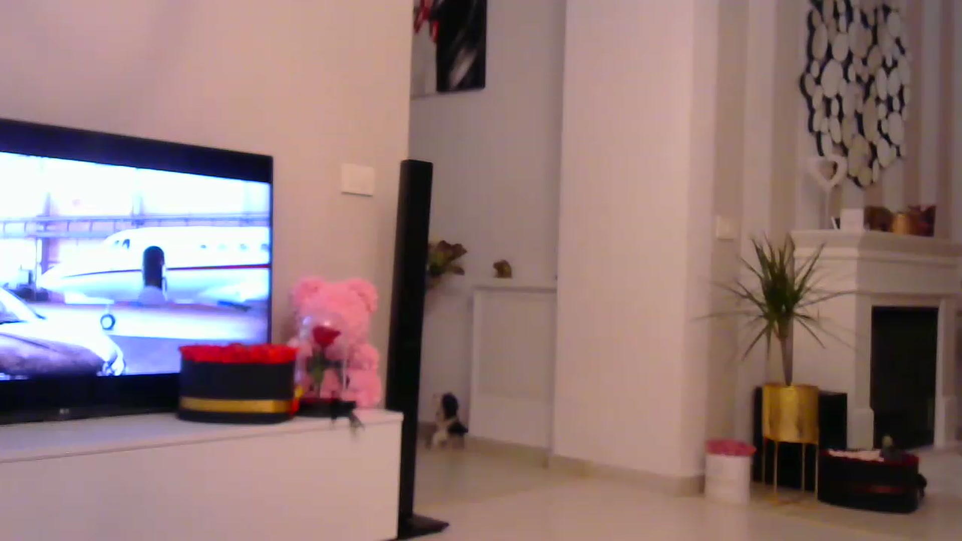 Gallery image thumbnail from Missy_alena's myfreecams stream on, 01/18/2023, 22:33 image 18 of 20