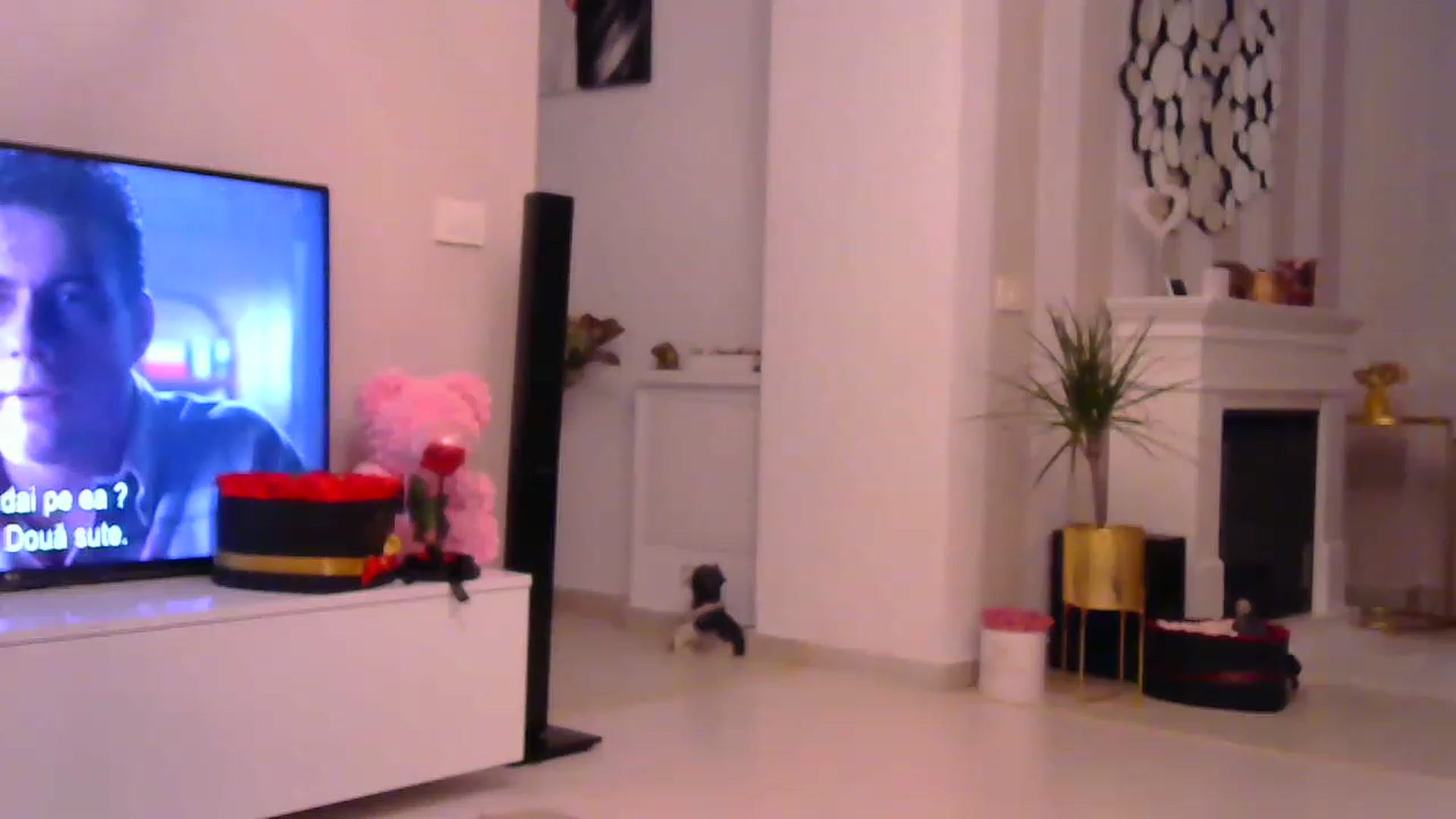Gallery image thumbnail from Missy_alena's myfreecams stream on, 01/22/2023, 23:07 image 9 of 20