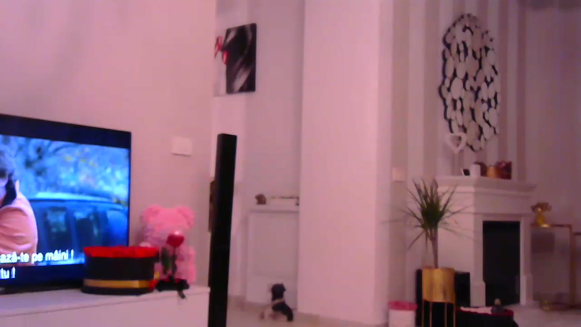 Gallery image thumbnail from Missy_alena's myfreecams stream on, 01/29/2023, 20:32 image 17 of 20