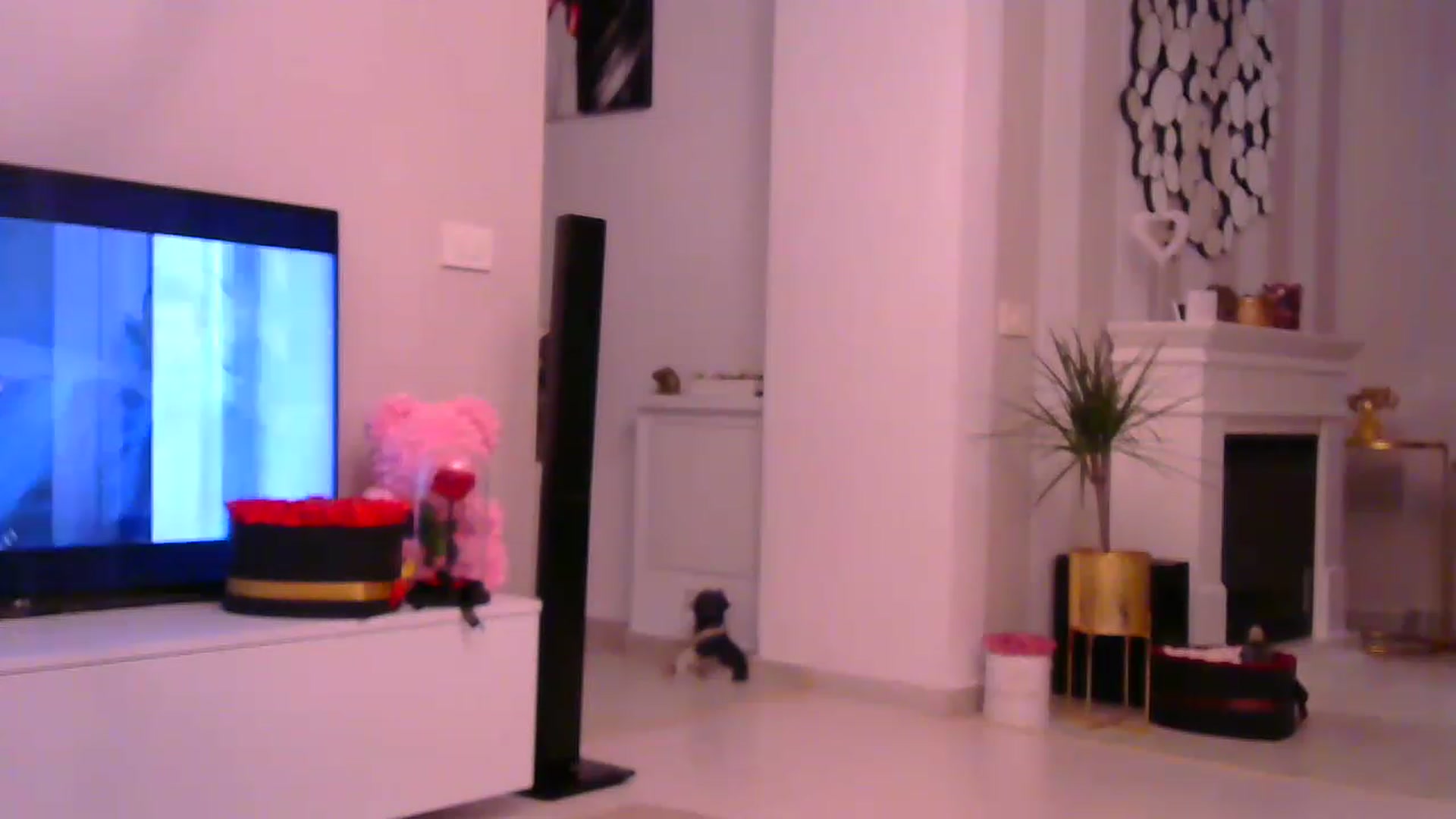 Gallery image thumbnail from Missy_alena's myfreecams stream on, 01/29/2023, 21:31 image 19 of 20