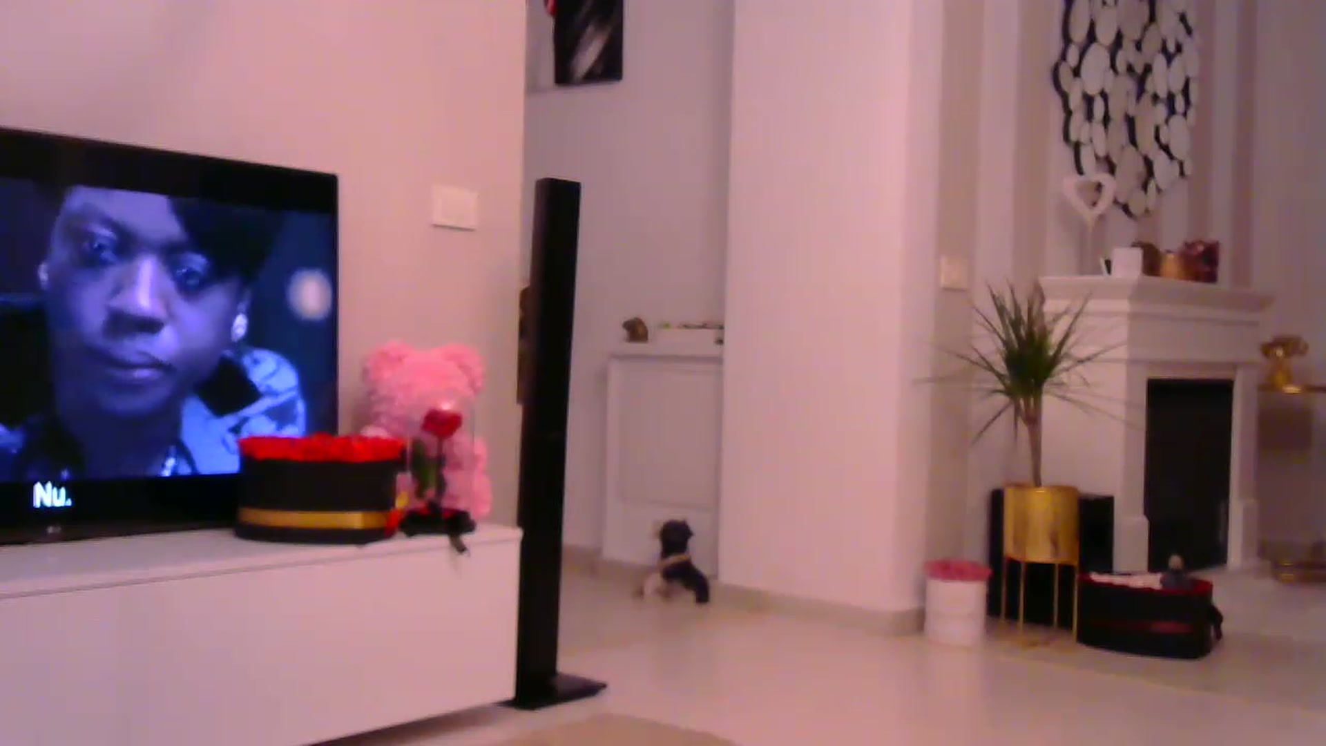 Gallery image thumbnail from Missy_alena's myfreecams stream on, 01/29/2023, 23:52 image 20 of 20