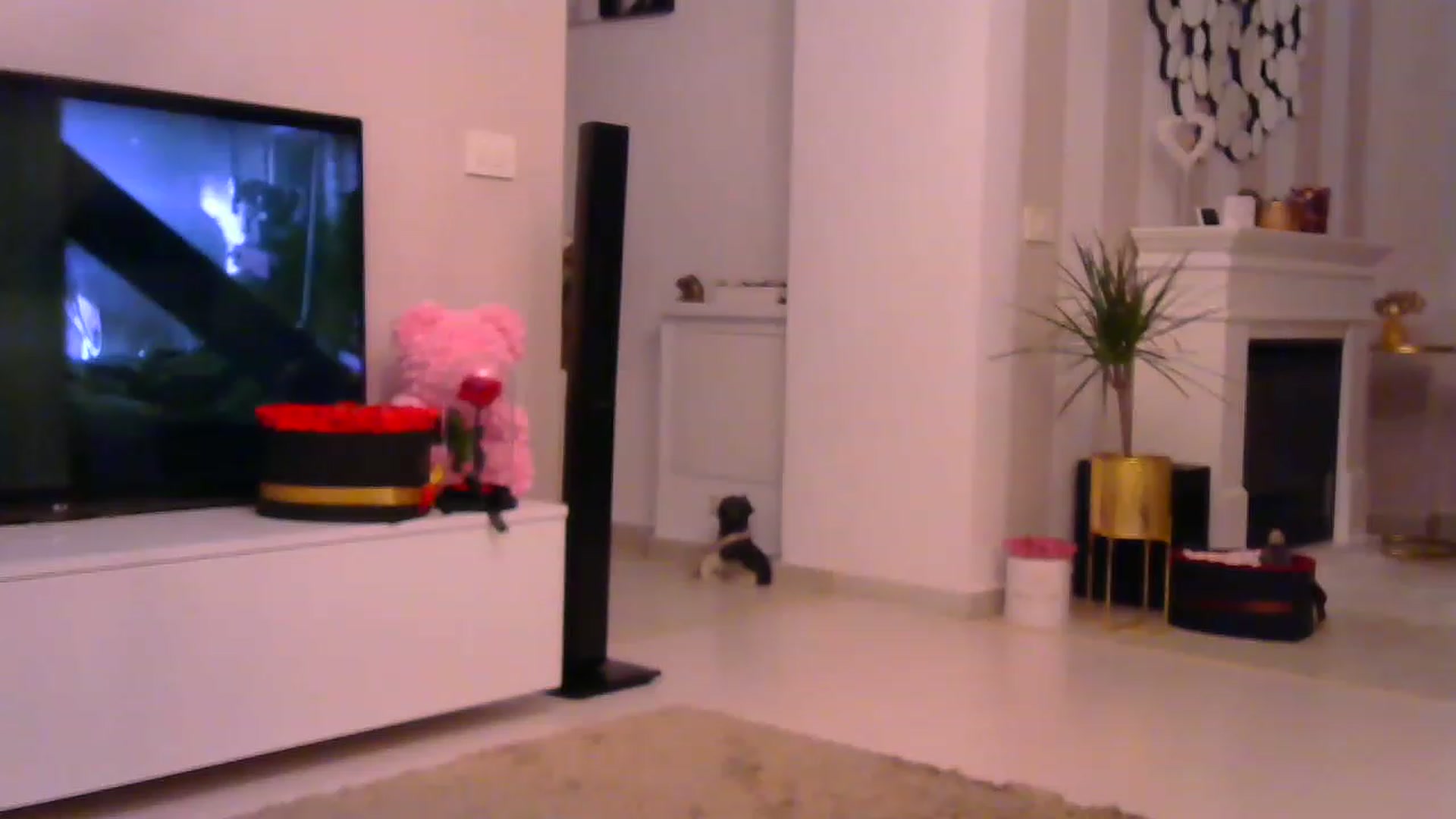 Gallery image thumbnail from Missy_alena's myfreecams stream on, 02/01/2023, 23:41 image 18 of 20