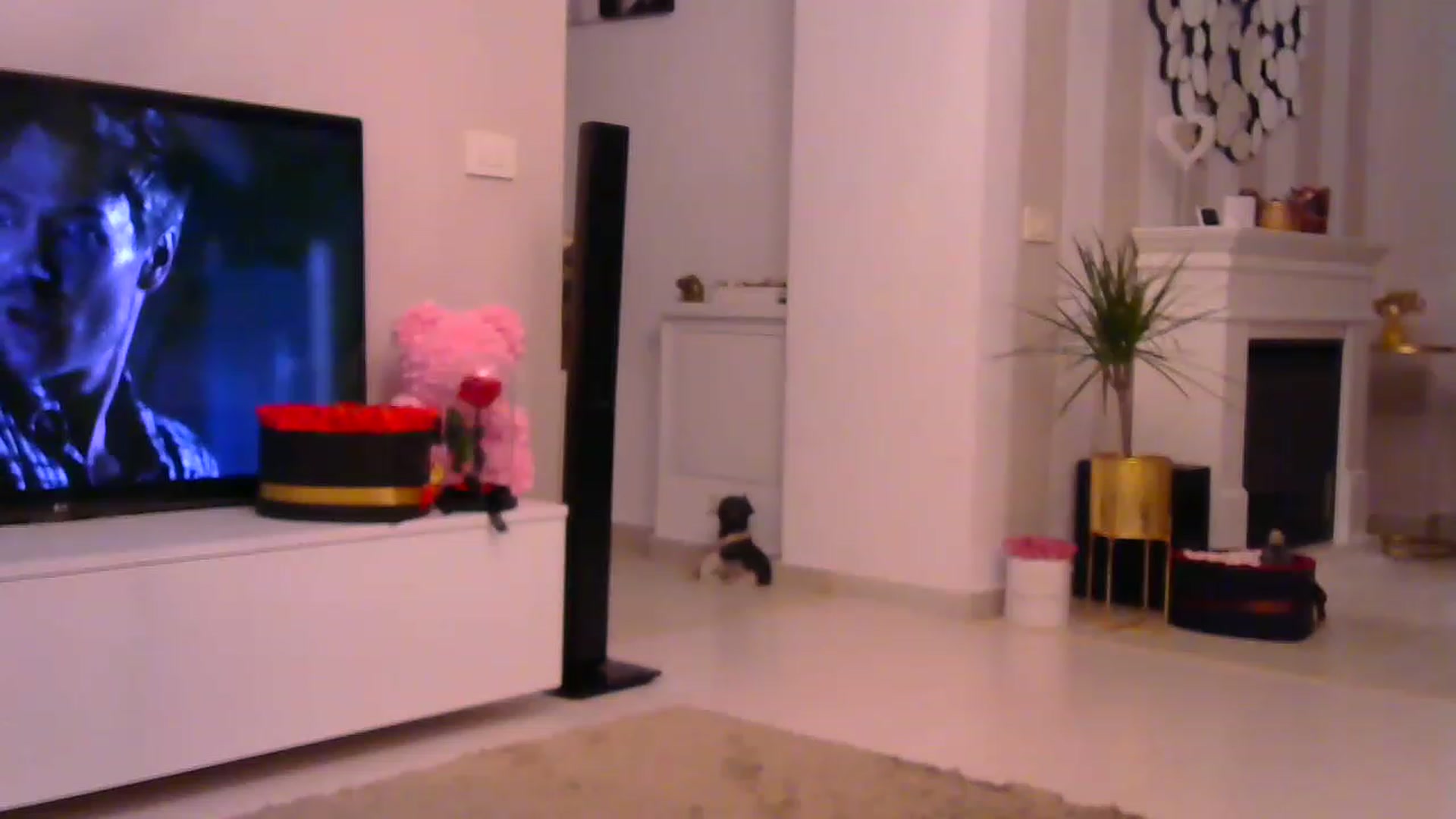 Gallery image thumbnail from Missy_alena's myfreecams stream on, 02/01/2023, 23:41 image 17 of 20