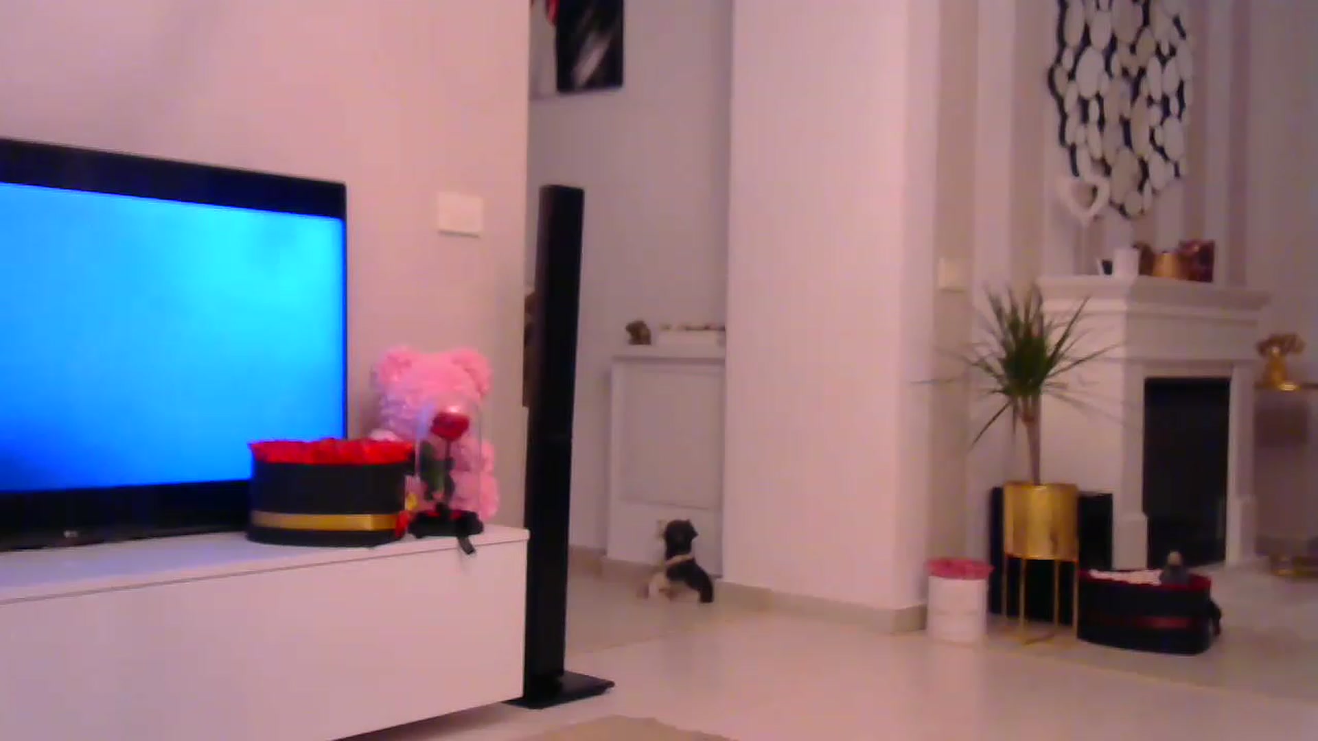 Gallery image thumbnail from Missy_alena's myfreecams stream on, 02/06/2023, 01:04 image 20 of 20