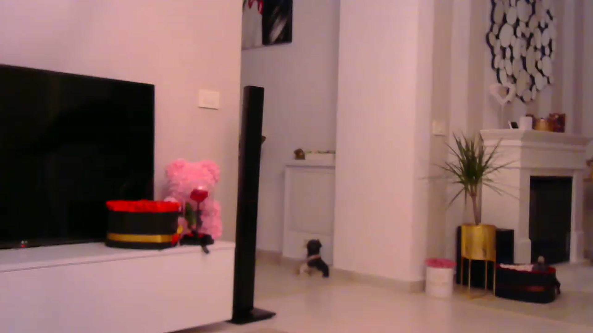 Gallery image thumbnail from Missy_alena's myfreecams stream on, 02/13/2023, 02:24 image 19 of 20