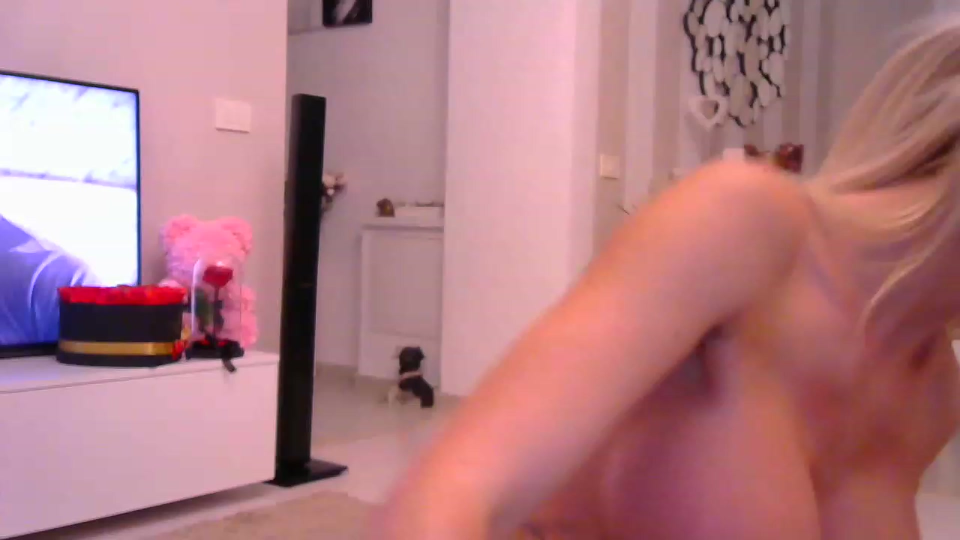 Gallery image thumbnail from Missy_alena's myfreecams stream on, 02/13/2023, 23:04 image 2 of 20
