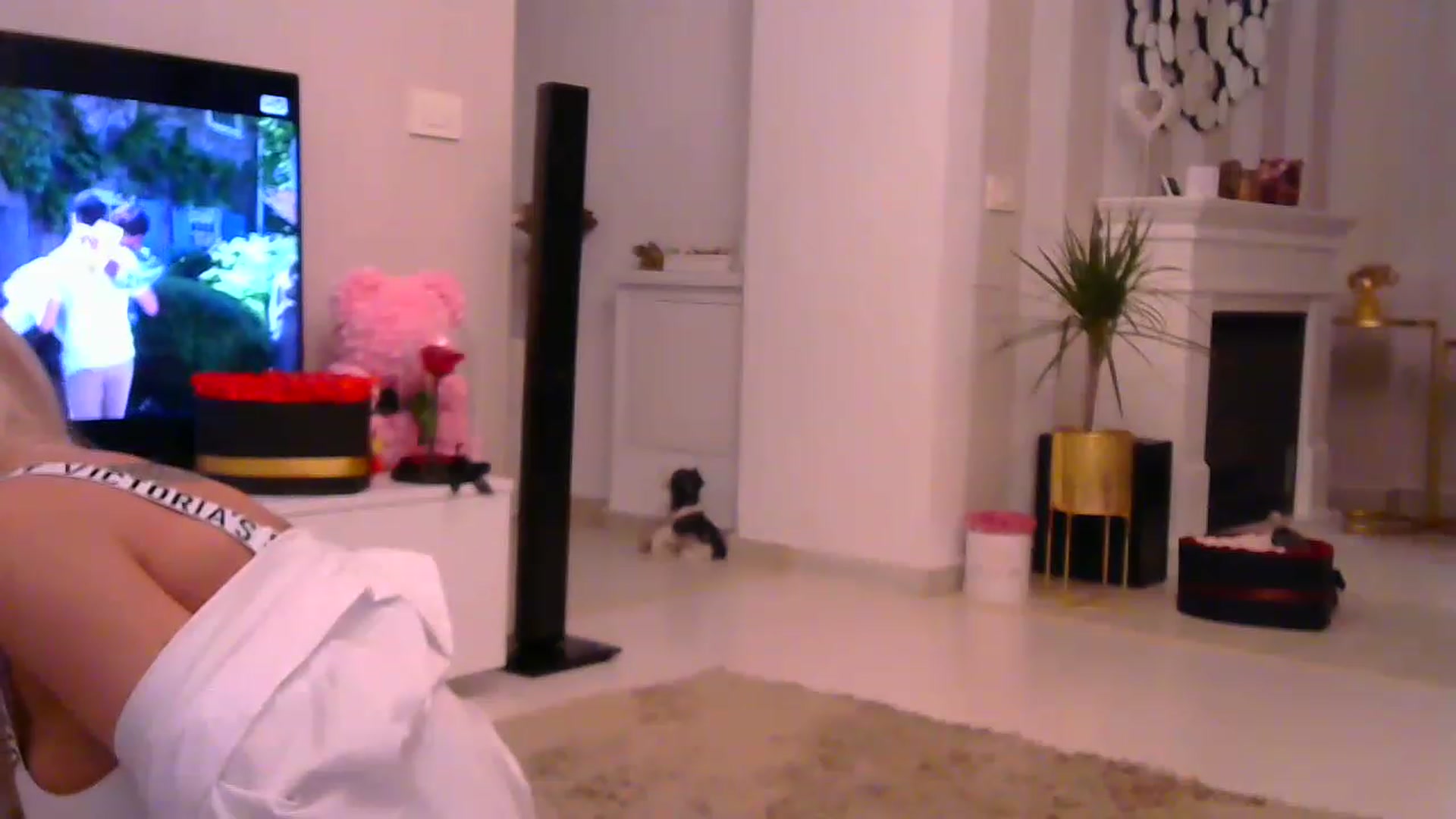 Gallery image thumbnail from Missy_alena's myfreecams stream on, 02/18/2023, 22:29 image 20 of 20