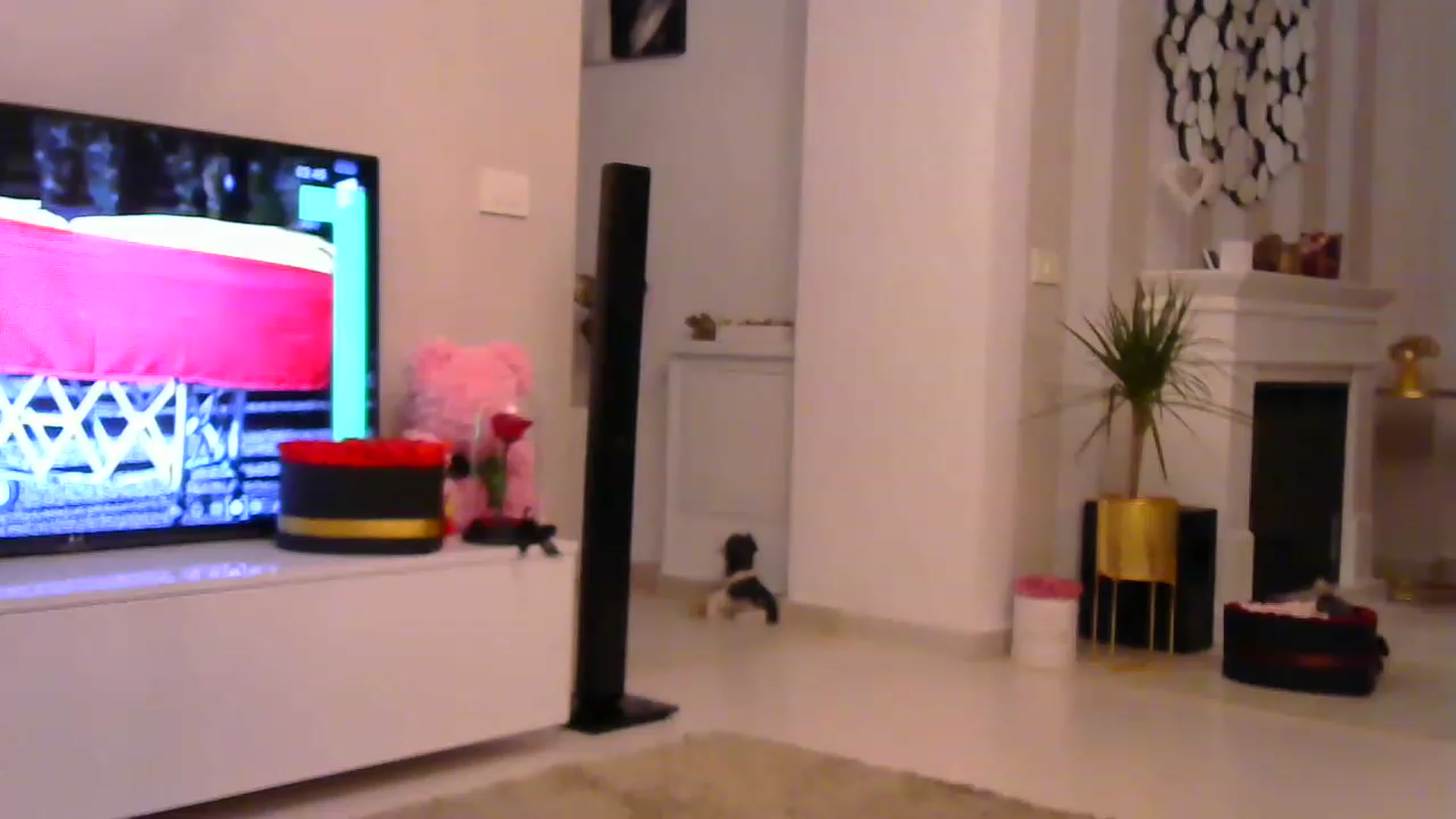 Gallery image thumbnail from Missy_alena's myfreecams stream on, 02/21/2023, 01:48 image 20 of 20
