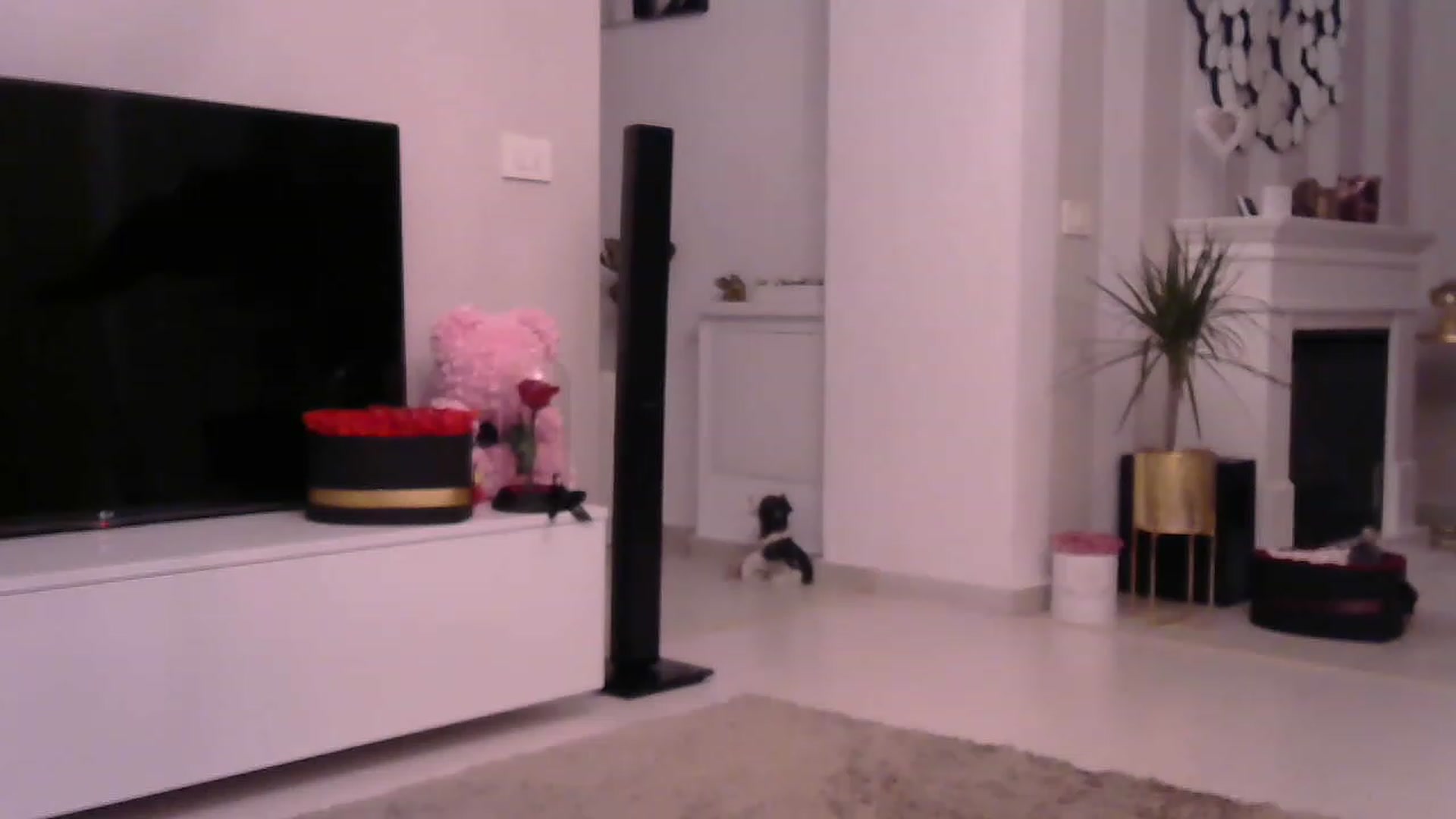 Gallery image thumbnail from Missy_alena's myfreecams stream on, 03/07/2023, 02:29 image 14 of 20