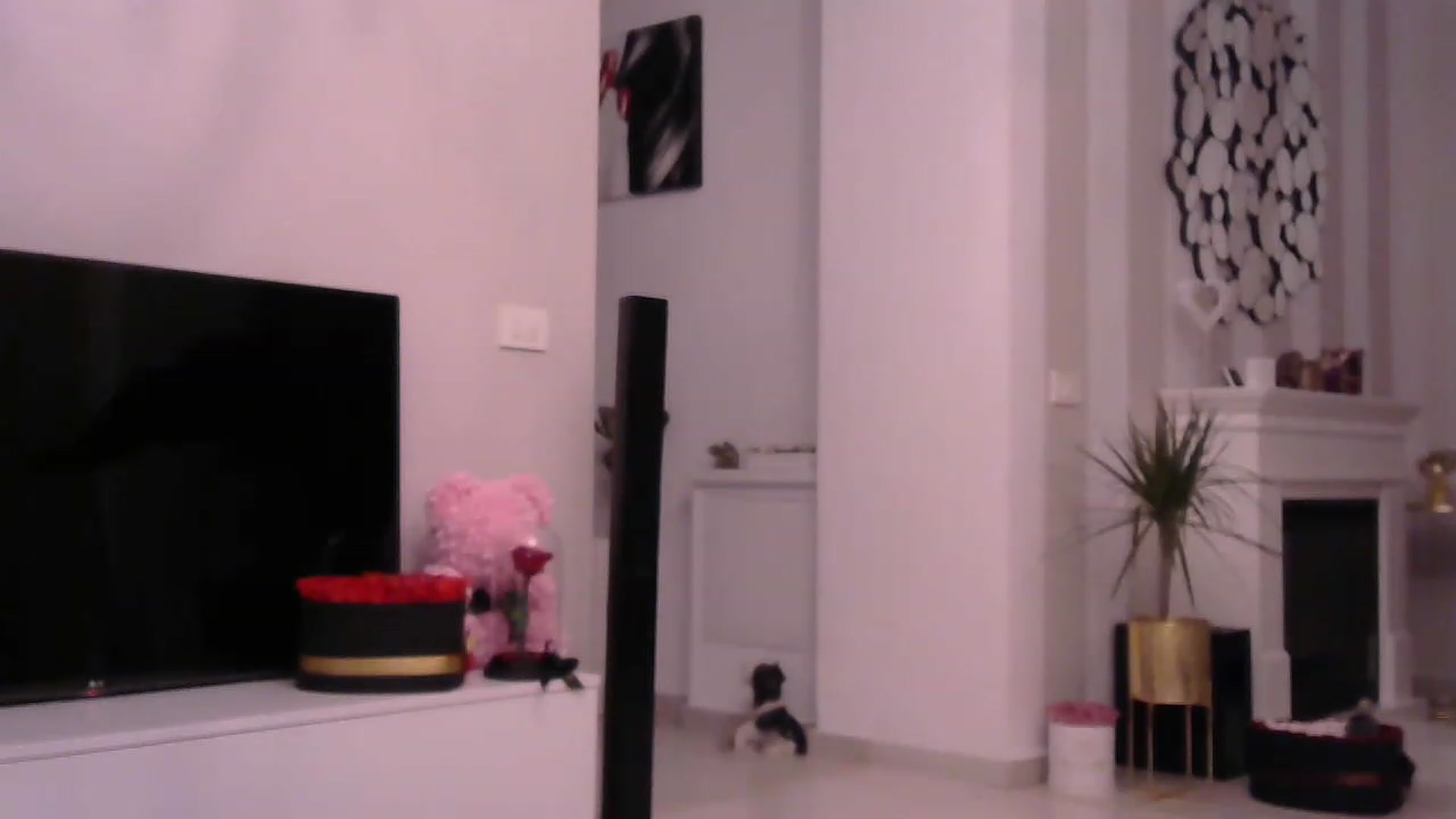 Gallery image thumbnail from Missy_alena's myfreecams stream on, 03/07/2023, 02:29 image 15 of 20