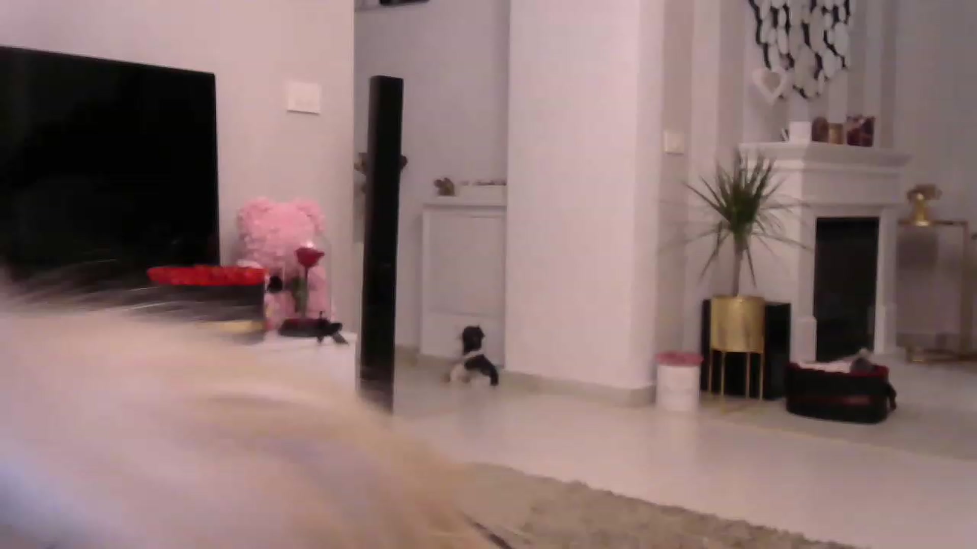 Gallery image thumbnail from Missy_alena's myfreecams stream on, 03/10/2023, 03:03 image 20 of 20