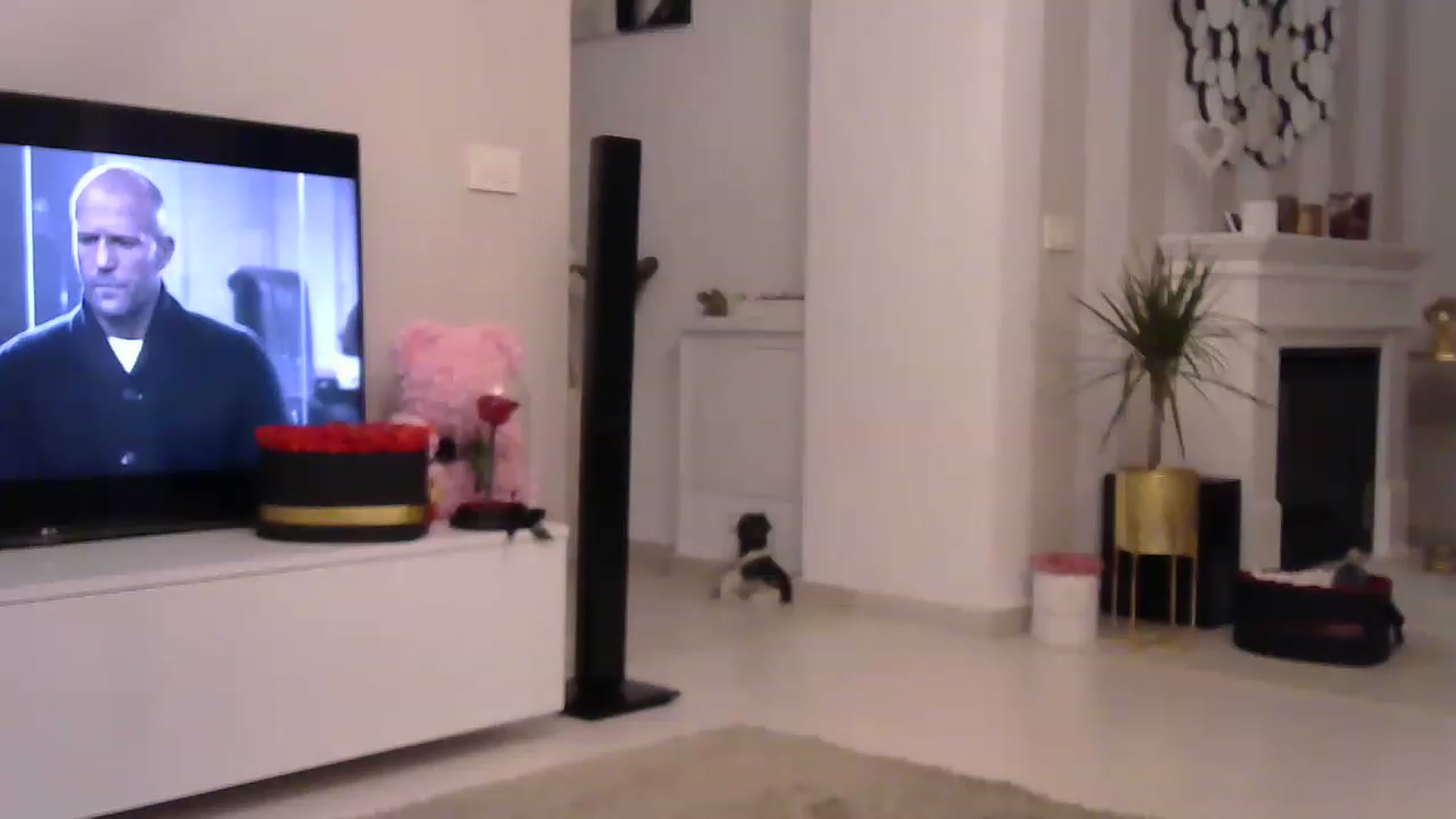 Gallery image thumbnail from Missy_alena's myfreecams stream on, 03/13/2023, 23:05 image 12 of 20
