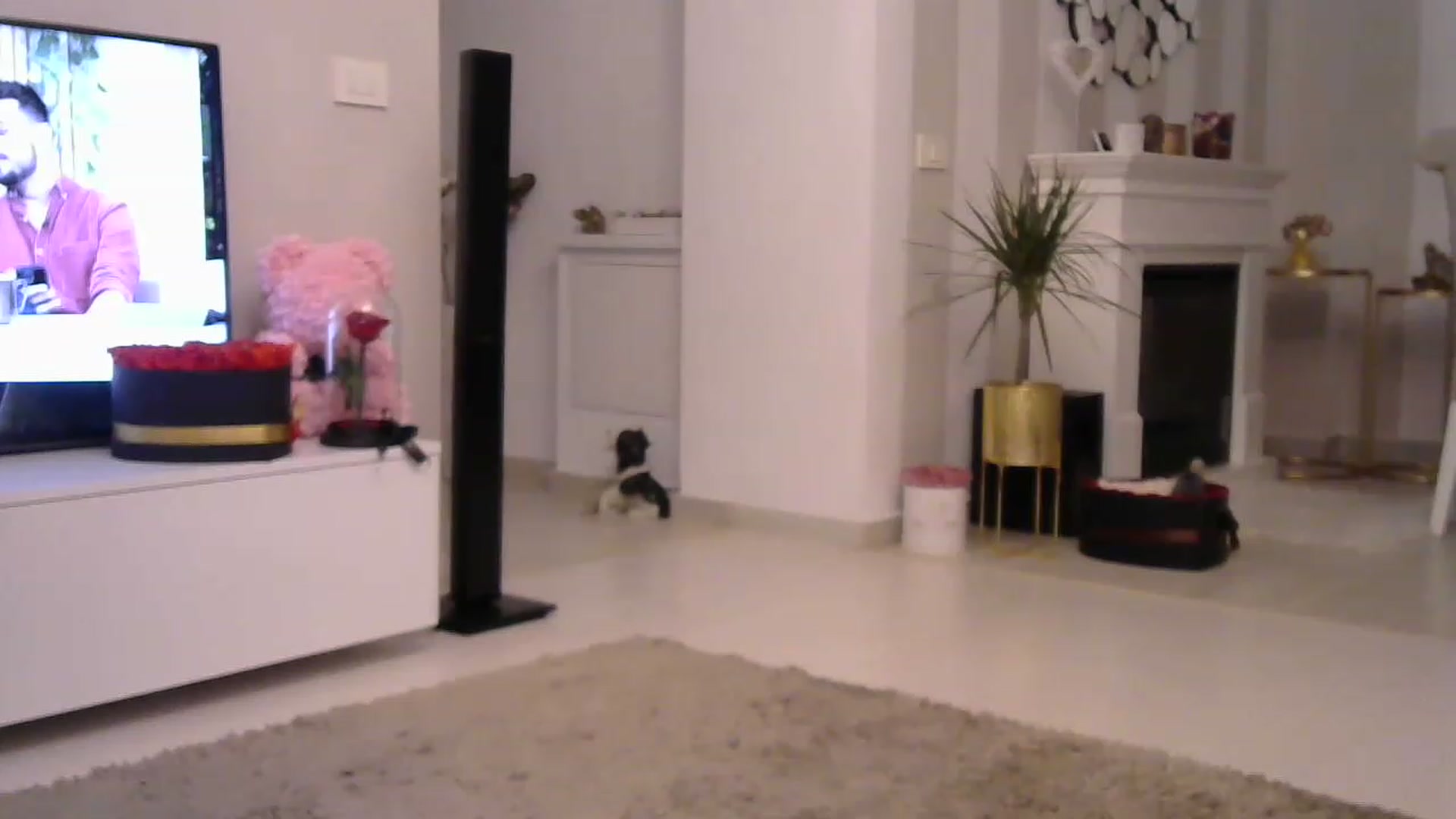 Gallery image thumbnail from Missy_alena's myfreecams stream on, 03/16/2023, 02:41 image 18 of 20