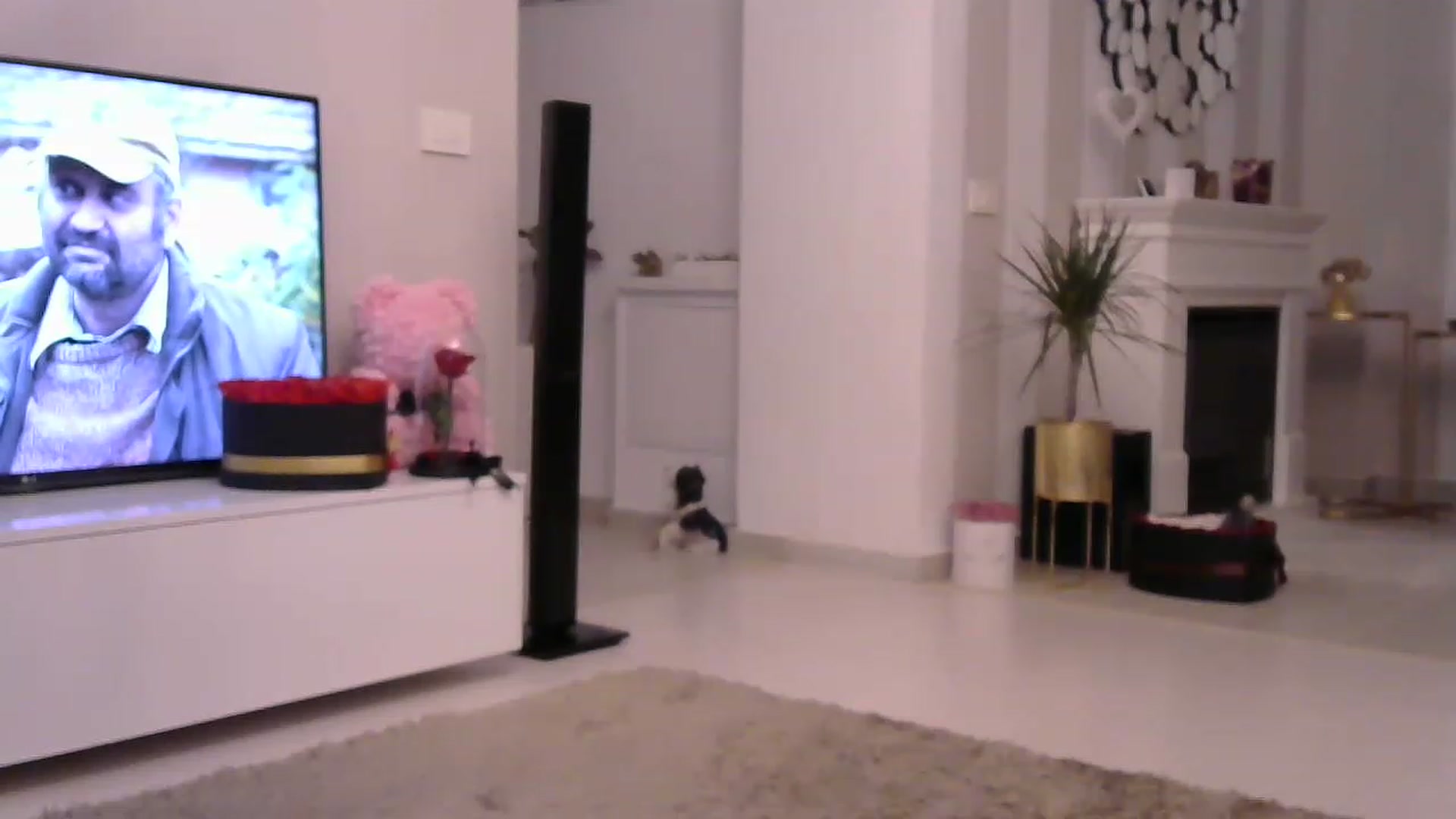 Gallery image thumbnail from Missy_alena's myfreecams stream on, 03/18/2023, 01:31 image 3 of 20