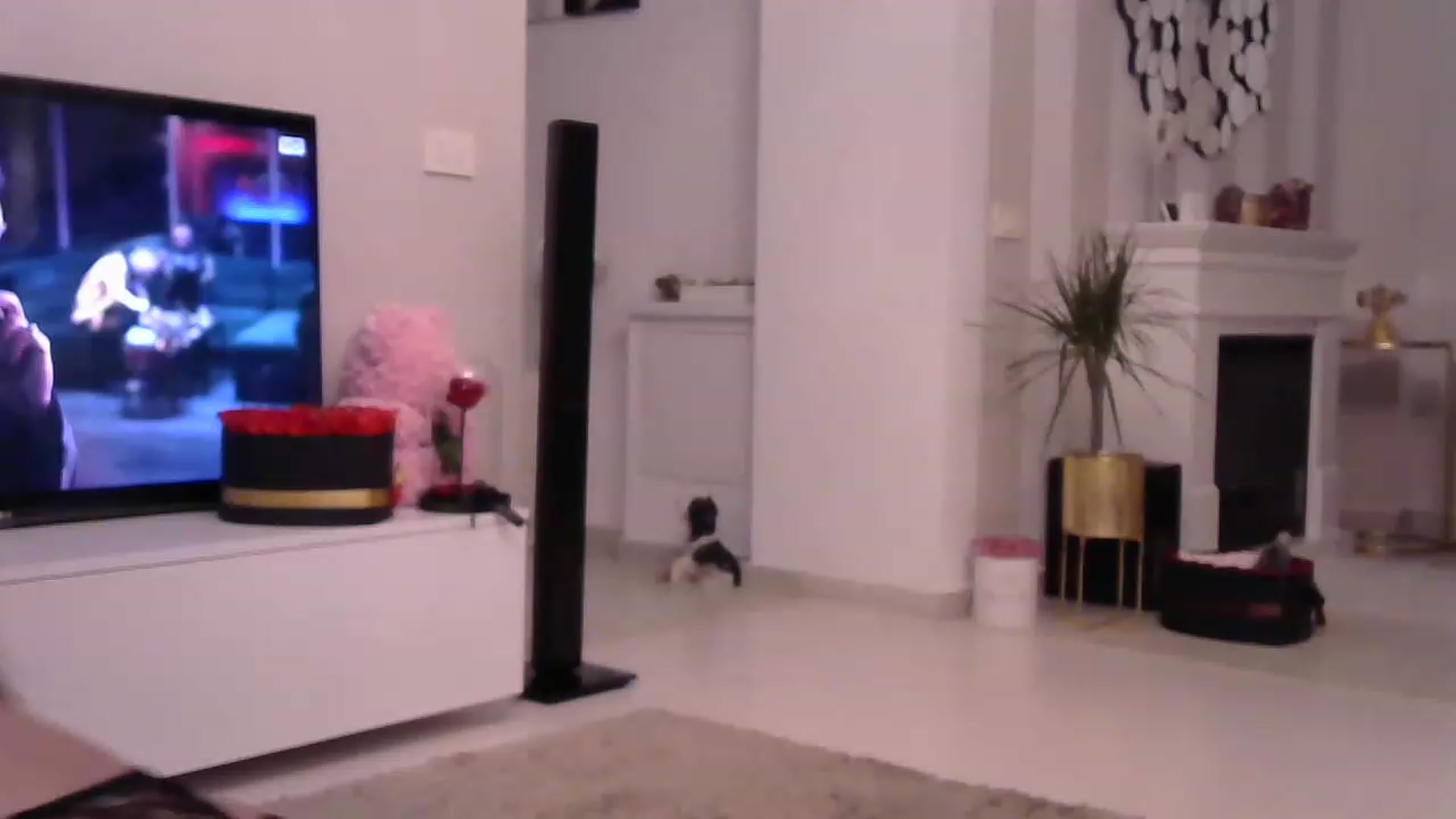 Gallery image thumbnail from Missy_alena's myfreecams stream on, 04/07/2023, 22:37 image 20 of 20