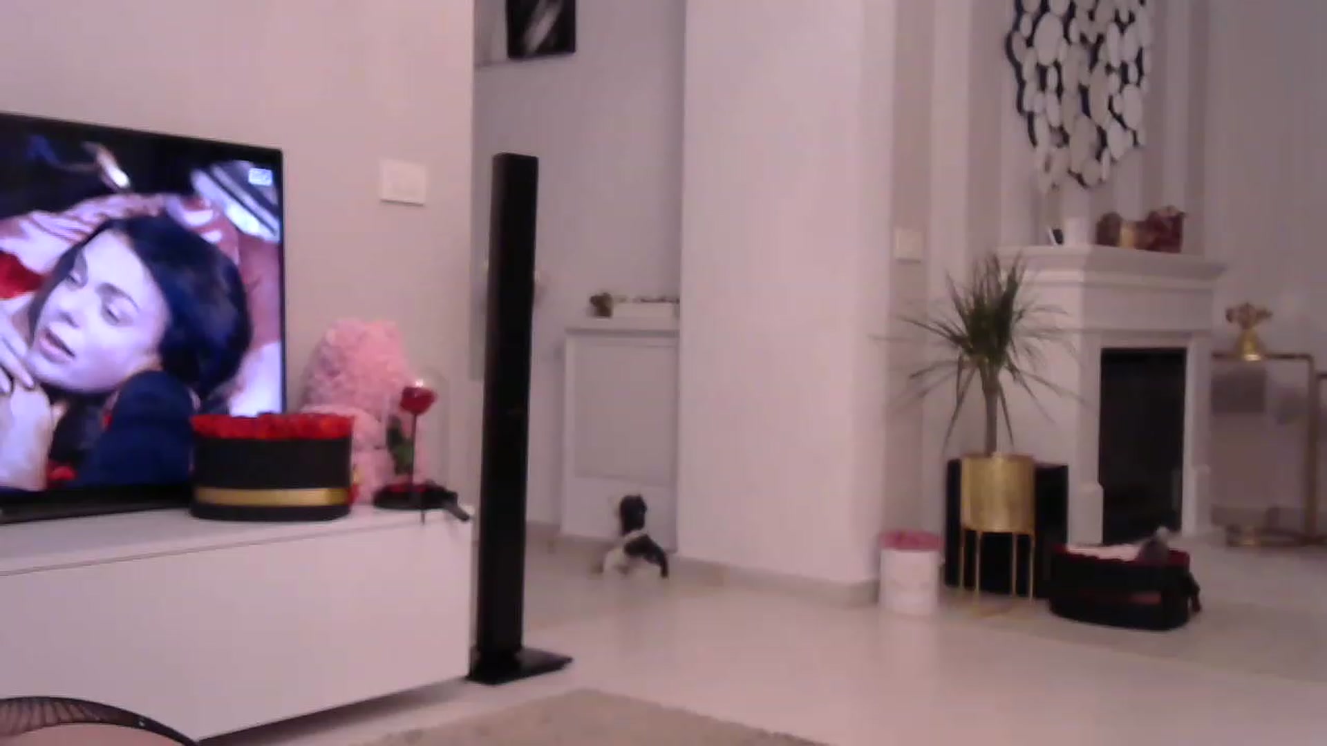 Gallery image thumbnail from Missy_alena's myfreecams stream on, 04/07/2023, 22:37 image 17 of 20