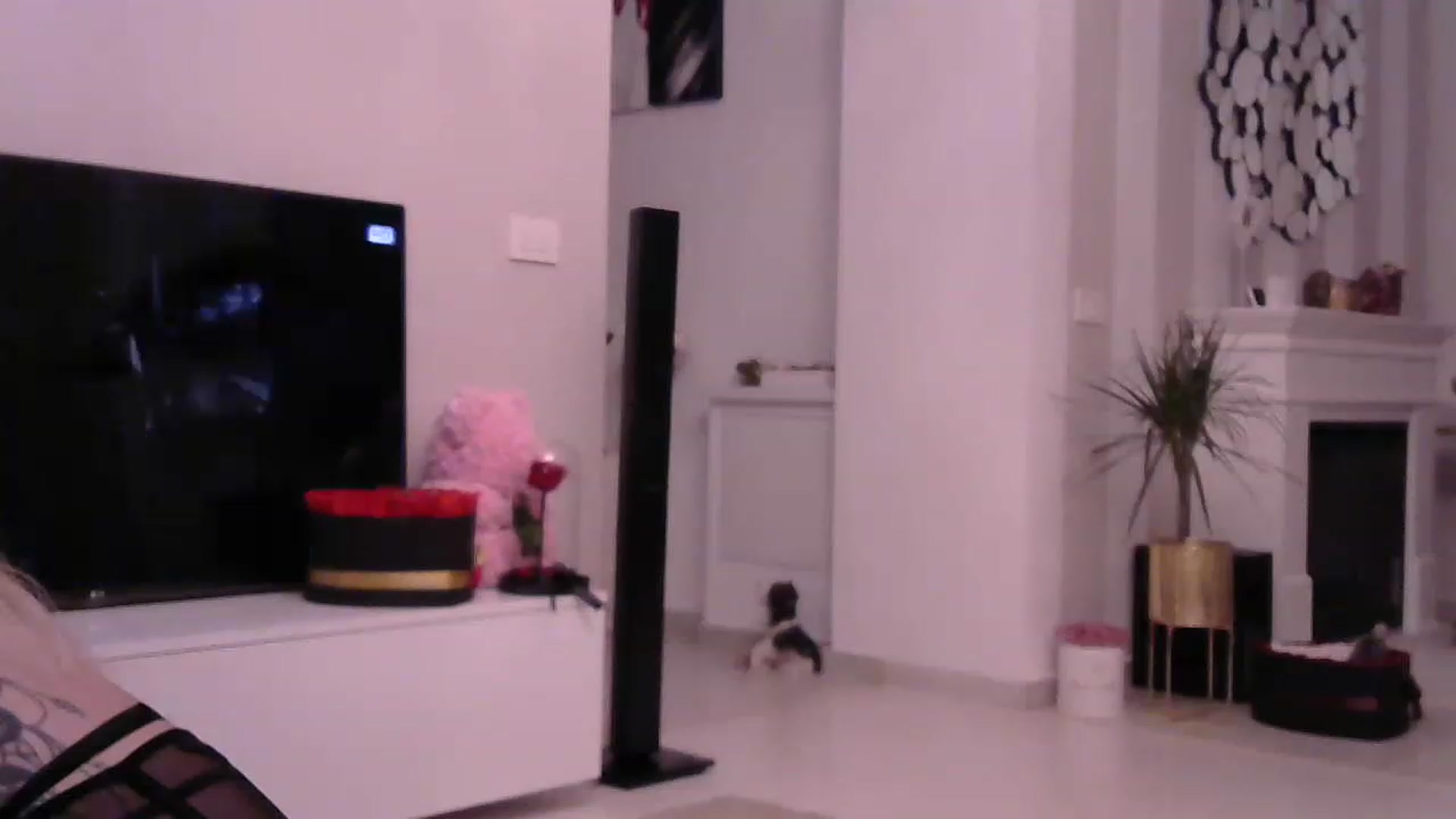 Gallery image thumbnail from Missy_alena's myfreecams stream on, 04/08/2023, 23:02 image 18 of 20