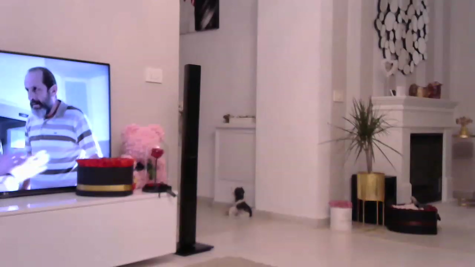 Gallery image thumbnail from Missy_alena's myfreecams stream on, 04/19/2023, 23:57 image 12 of 20