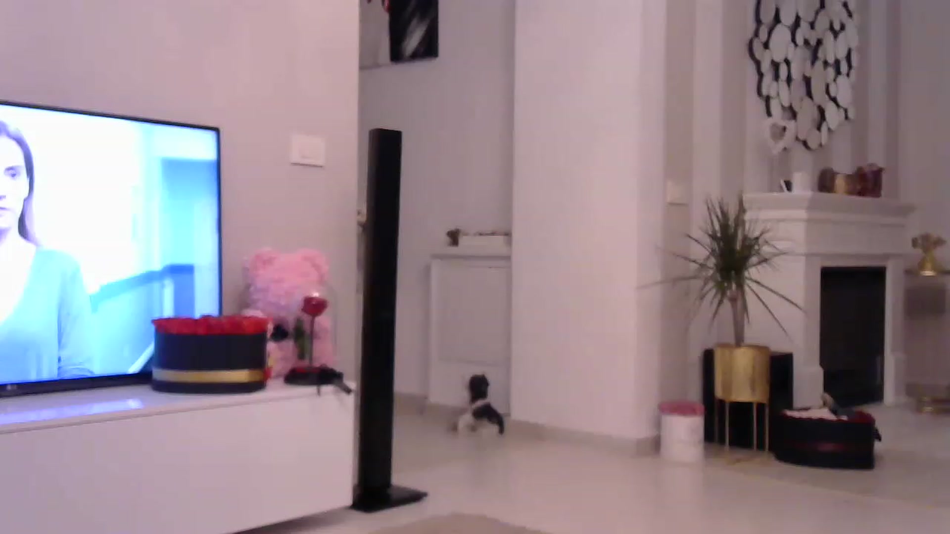 Gallery image thumbnail from Missy_alena's myfreecams stream on, 04/19/2023, 23:57 image 13 of 20
