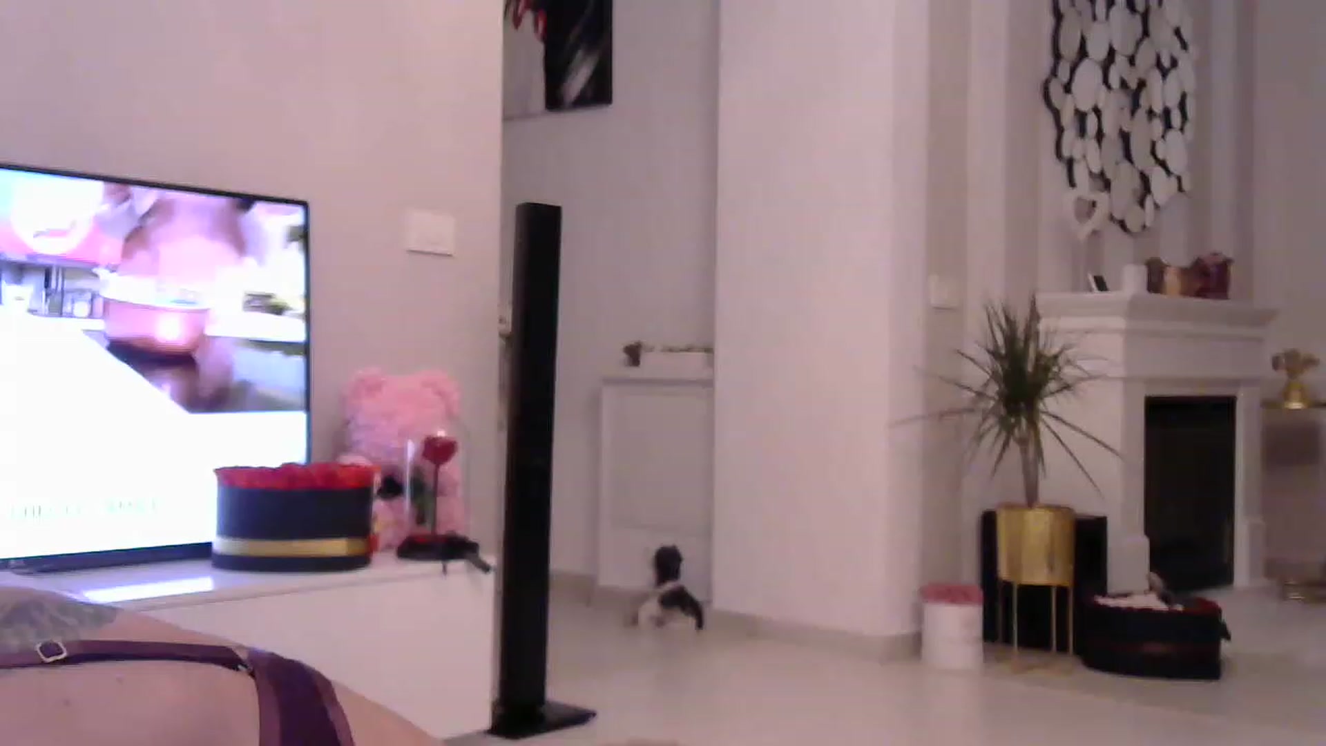 Gallery image thumbnail from Missy_alena's myfreecams stream on, 04/20/2023, 24:56 image 1 of 20